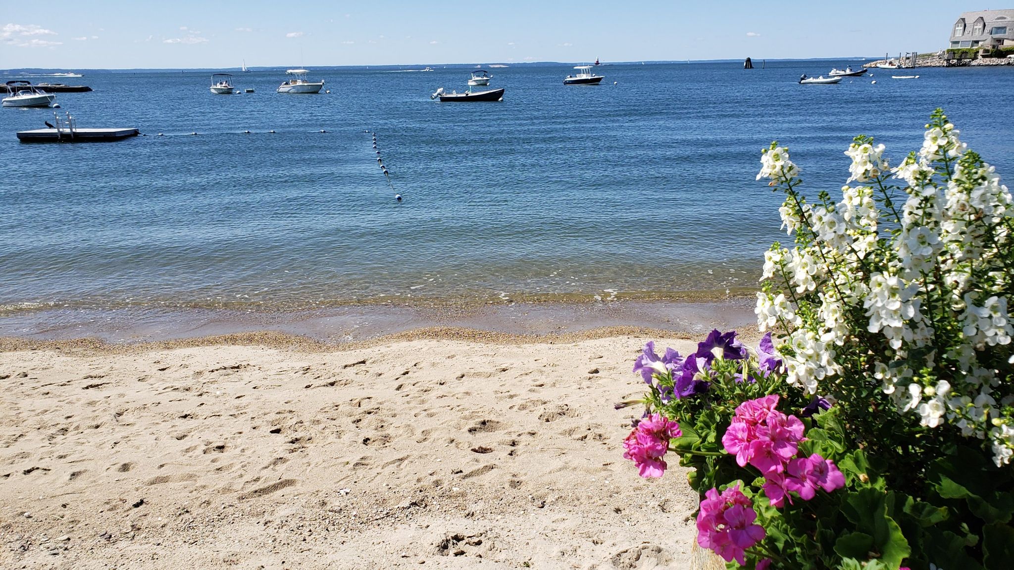 Colorful flowers in foreground, sandy beach, and boats on blue ocean. - Crescent Beach loop from Rowayton
