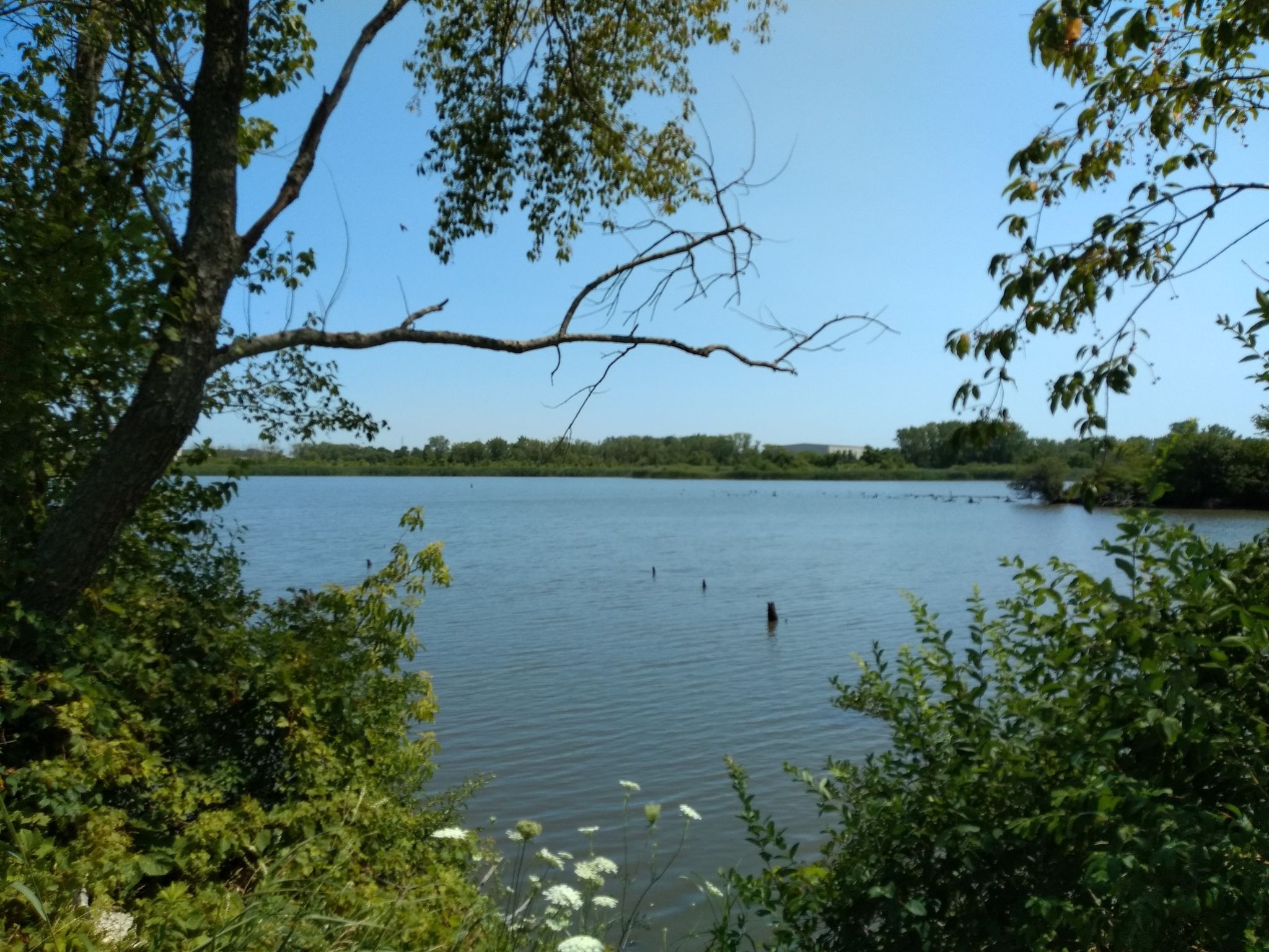 A wide blue lake framed by green trees and bushes on a sunny day. - Downtown Flossmoor – Old Plank Road Trail loop from Flossmoor
