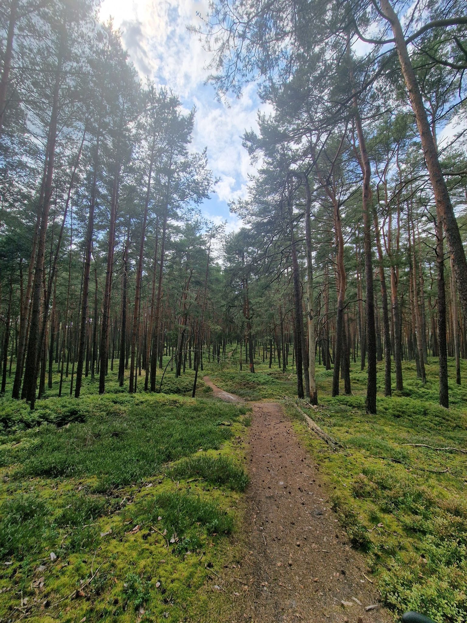 wirklich schöner Trail