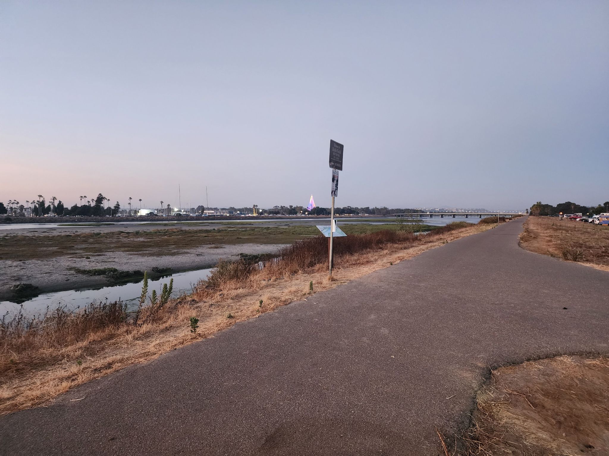 Overcast view of a dirt path beside a marsh with distant buildings. - San Diego River Bikeway – Ocean Beach loop from Amaya Drive