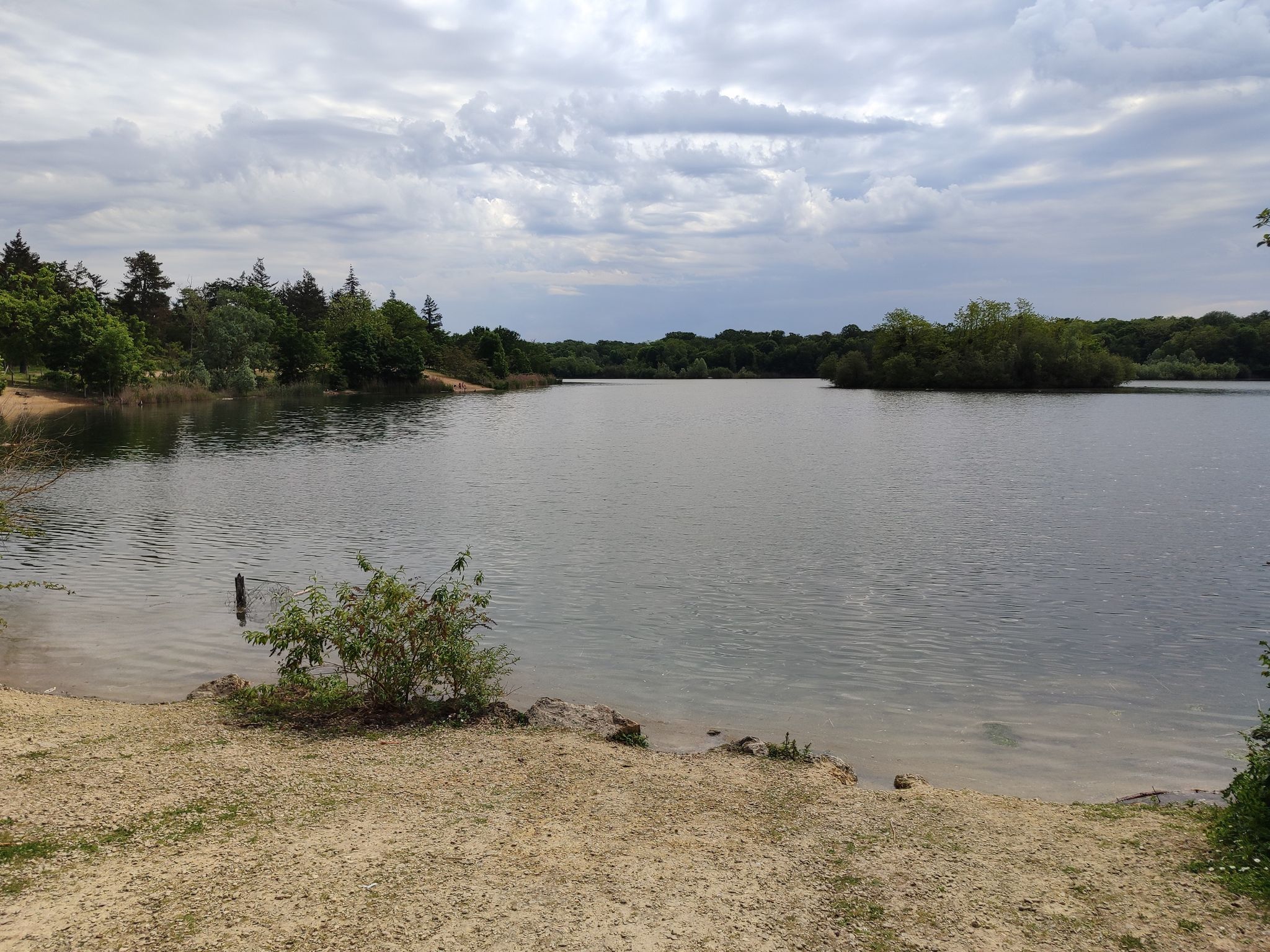 See im Foret Domaniale de Saint-Germain