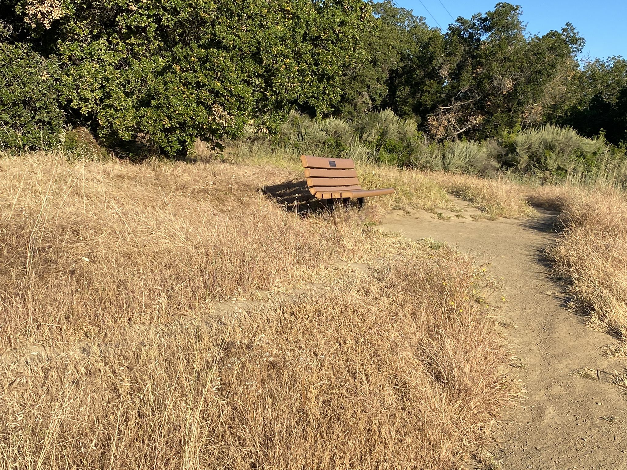 A wooden bench sits beside a dirt path in a field of dry grass. - Stephen E. Abbors, Wildcat, and Coyote Trail Loop