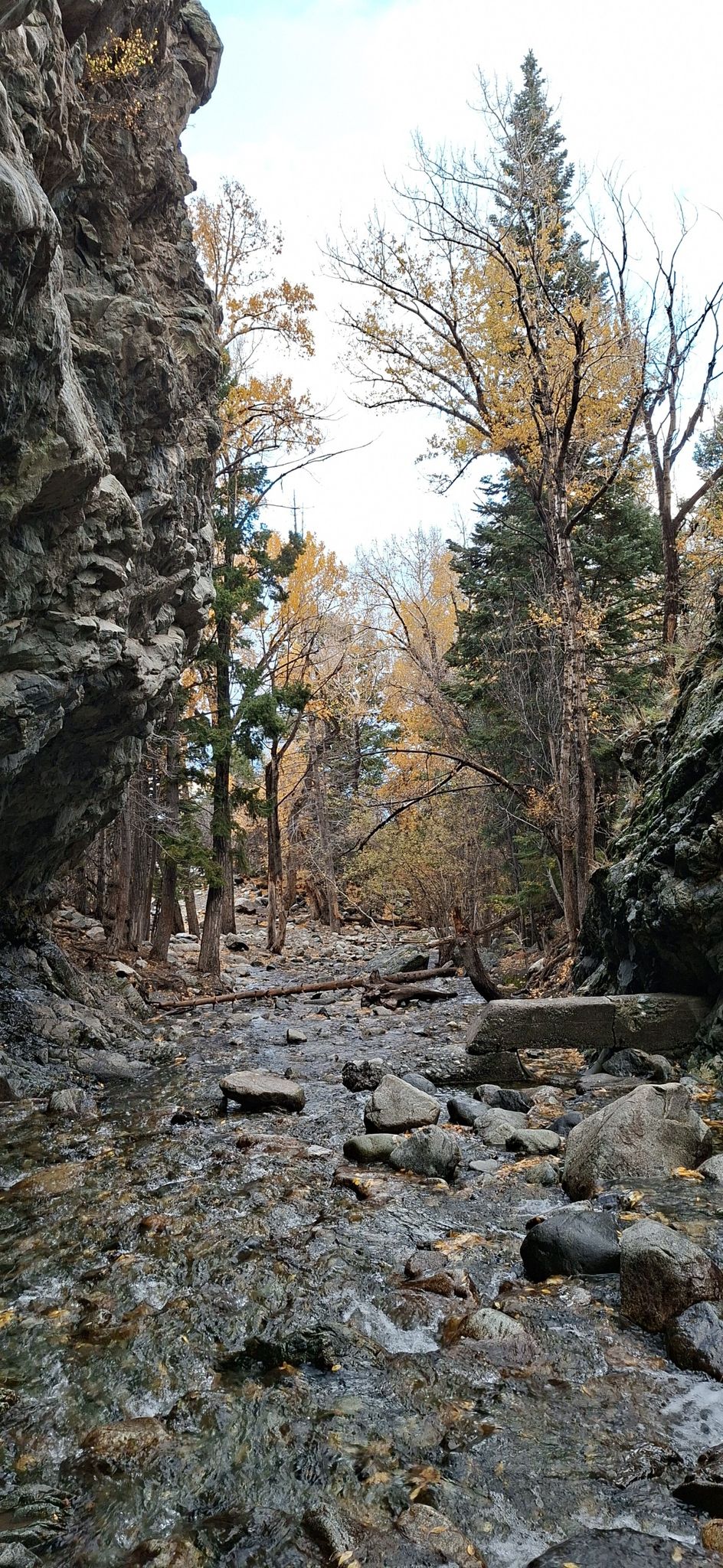 Rocky stream bed in a canyon with autumn trees and steep rock walls. - Zapata Creek and benches – Zapata Falls loop from Zapata Falls