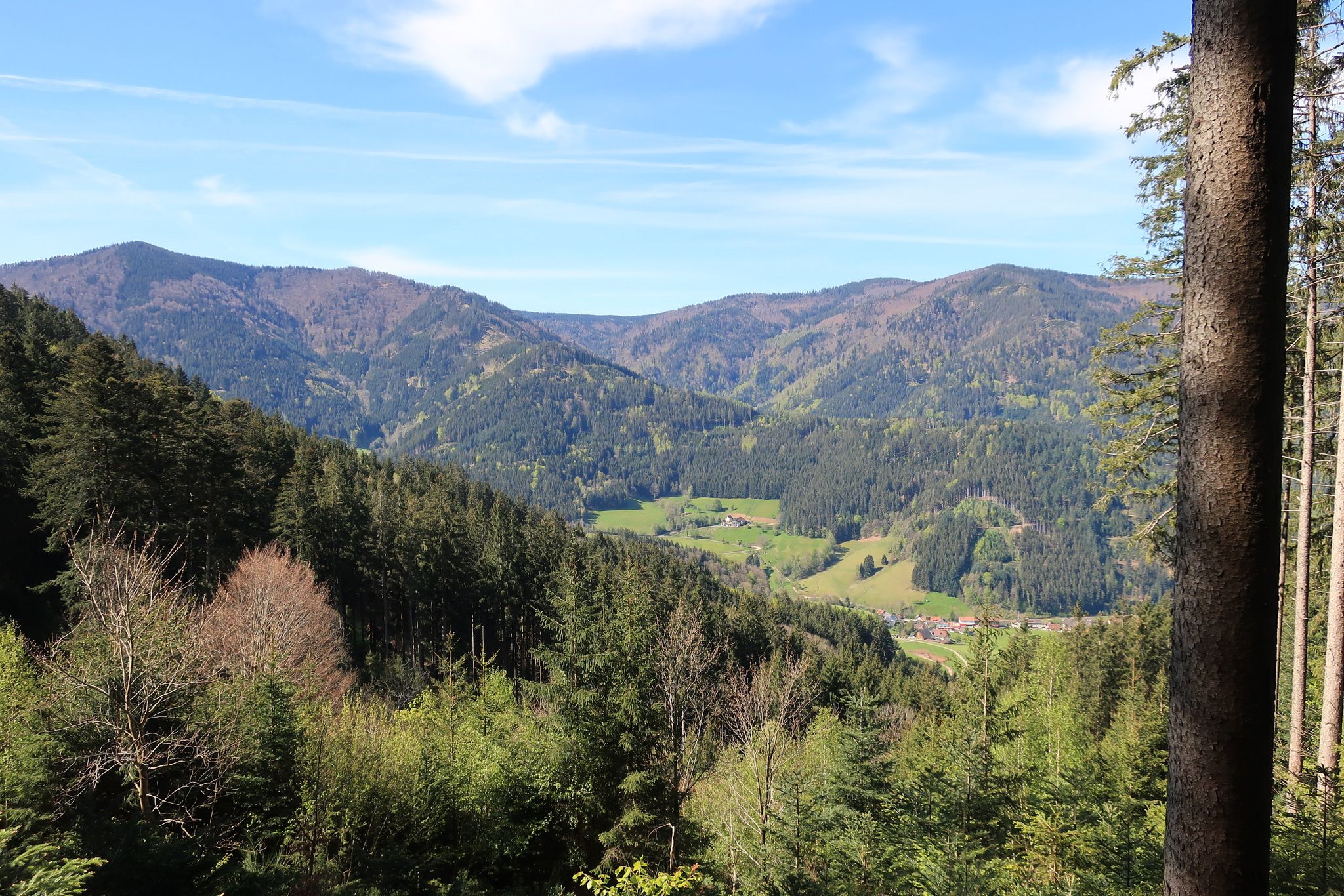 Gutachtal mit Hornkopf (links) und Wolfsgrubenkapf