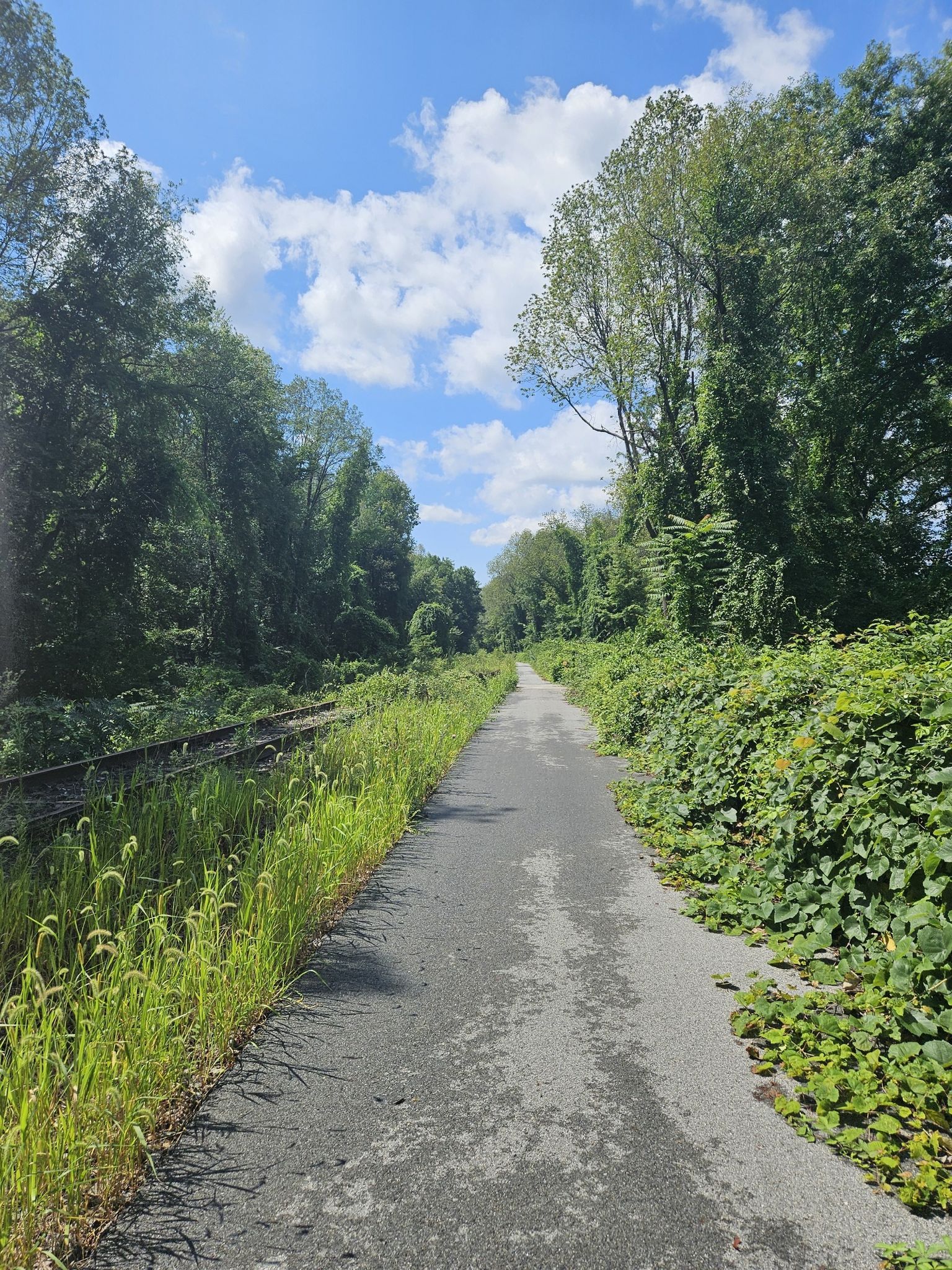 Paved path and railroad tracks overgrown with lush green vegetation under blue sky. - Roadbike loop from Green Haven Correctional Facility