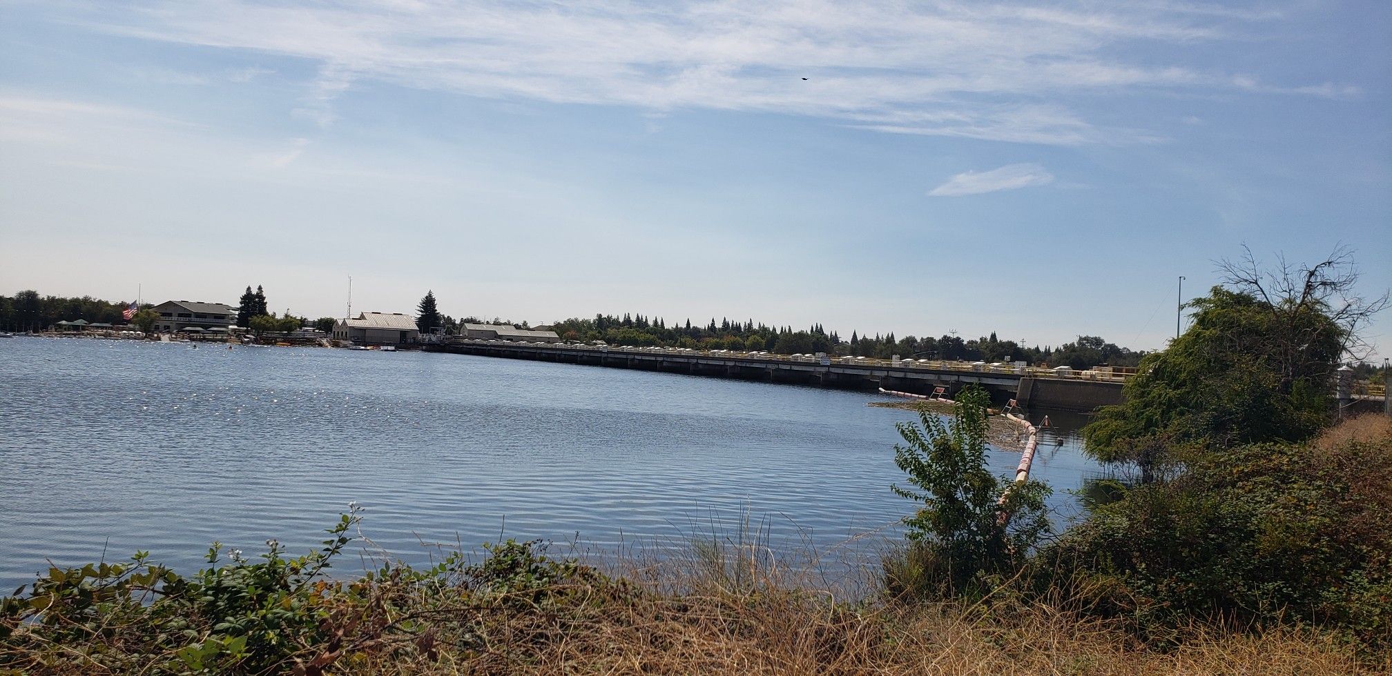 A wide river with a long bridge and distant buildings under a bright blue sky. - Lake Natoma – Folsom Historic Truss Bridge loop from Iron Point