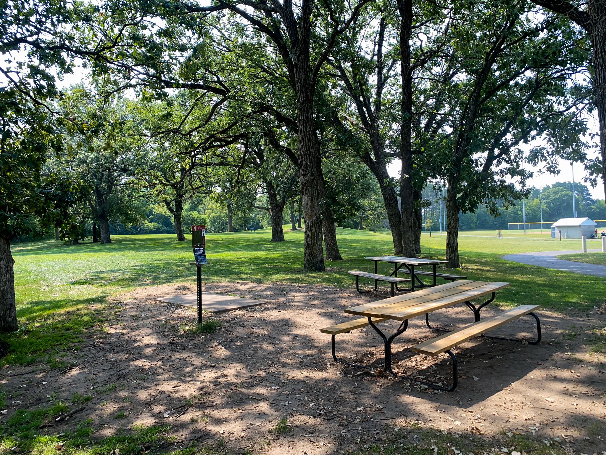 Picnic tables and disc golf tee pad under large trees on a sunny day. - Great Northern Trail