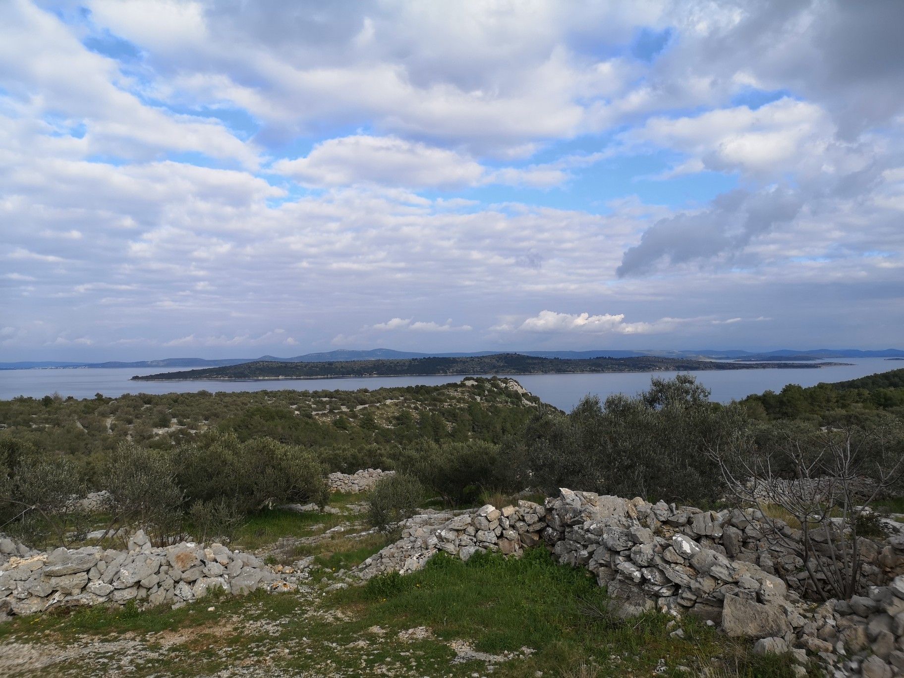 view