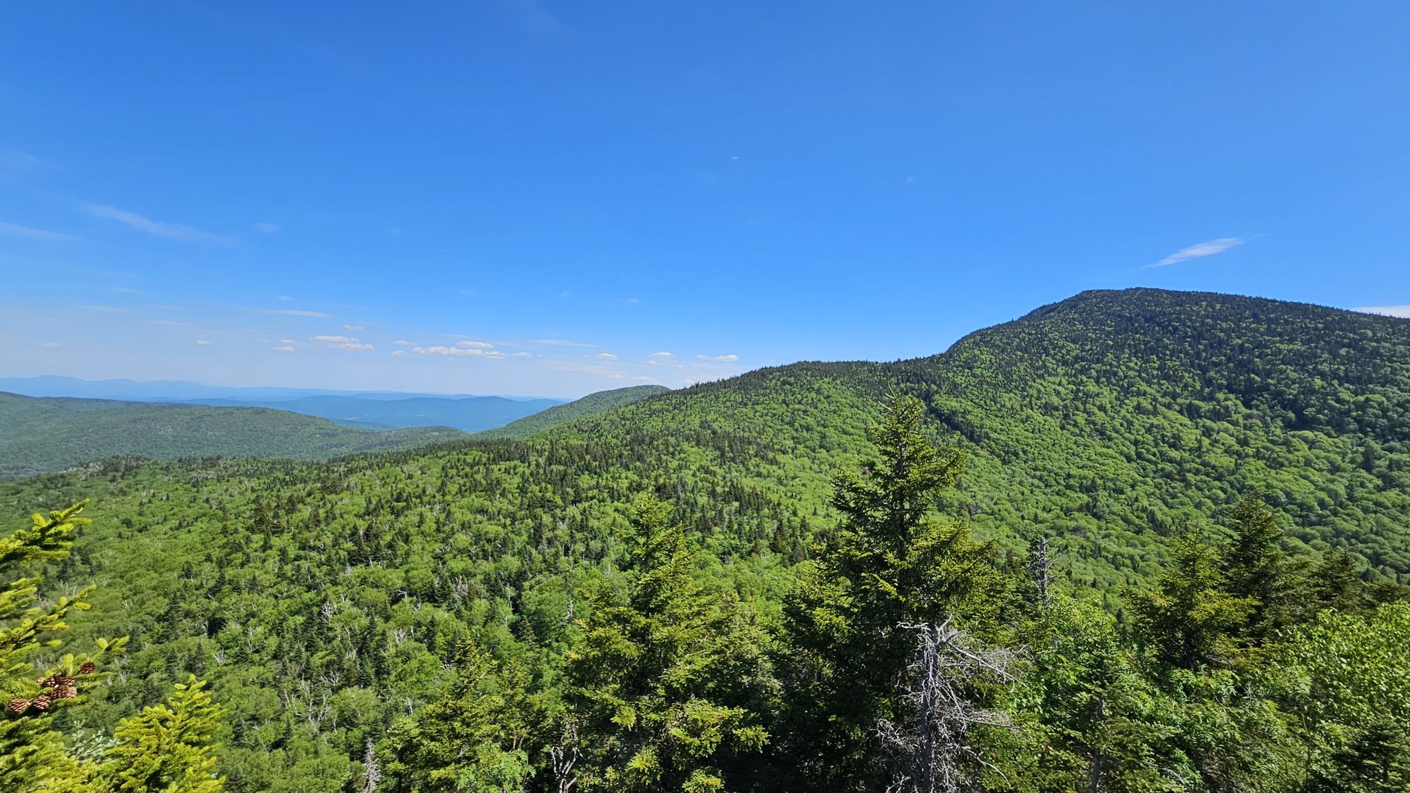 Lush green forested mountains under a clear blue sky on a sunny day. - Camel's Hump via Monroe, Alpine, Long and Dean Trail