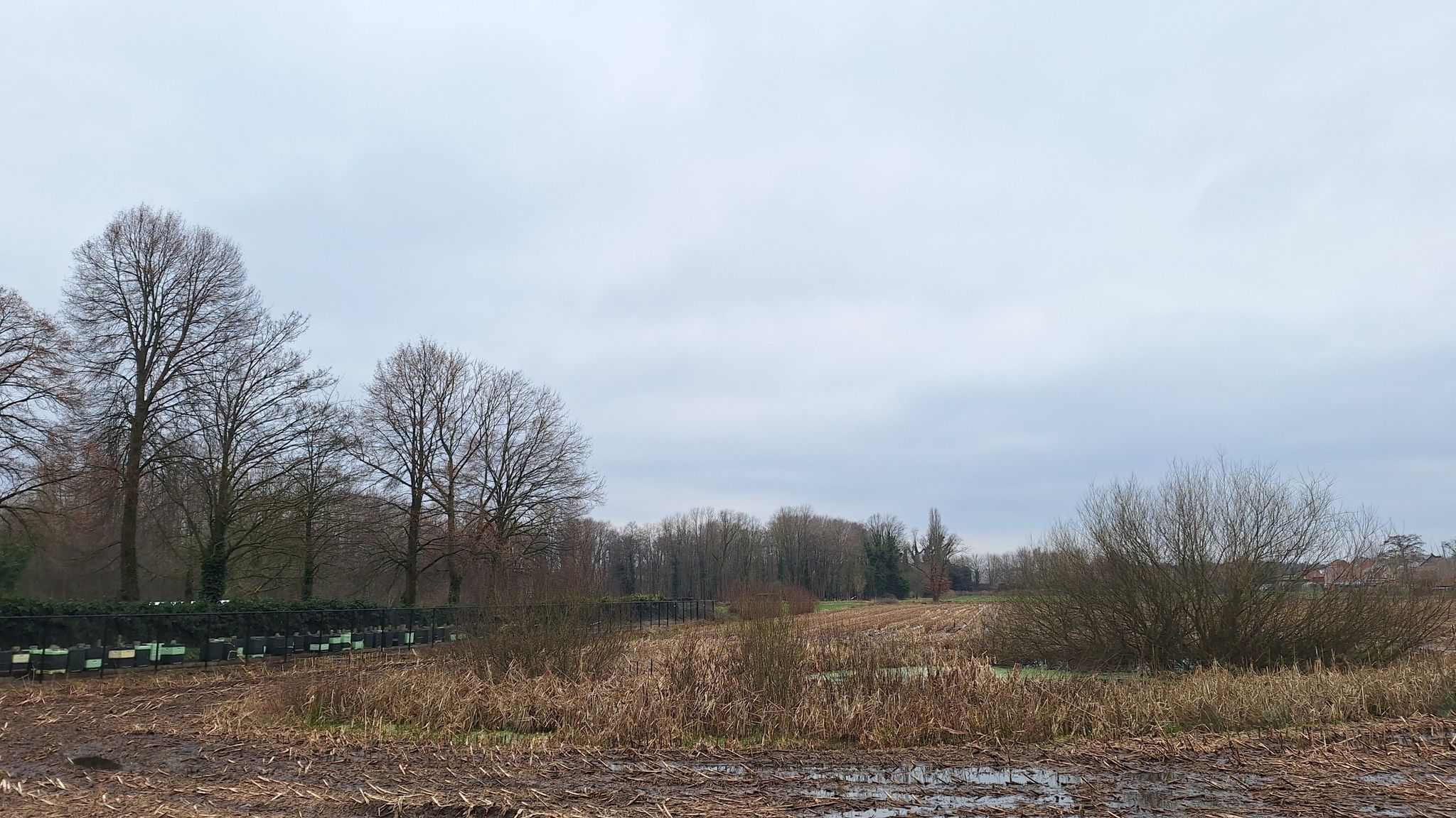 Agrarisch landschap