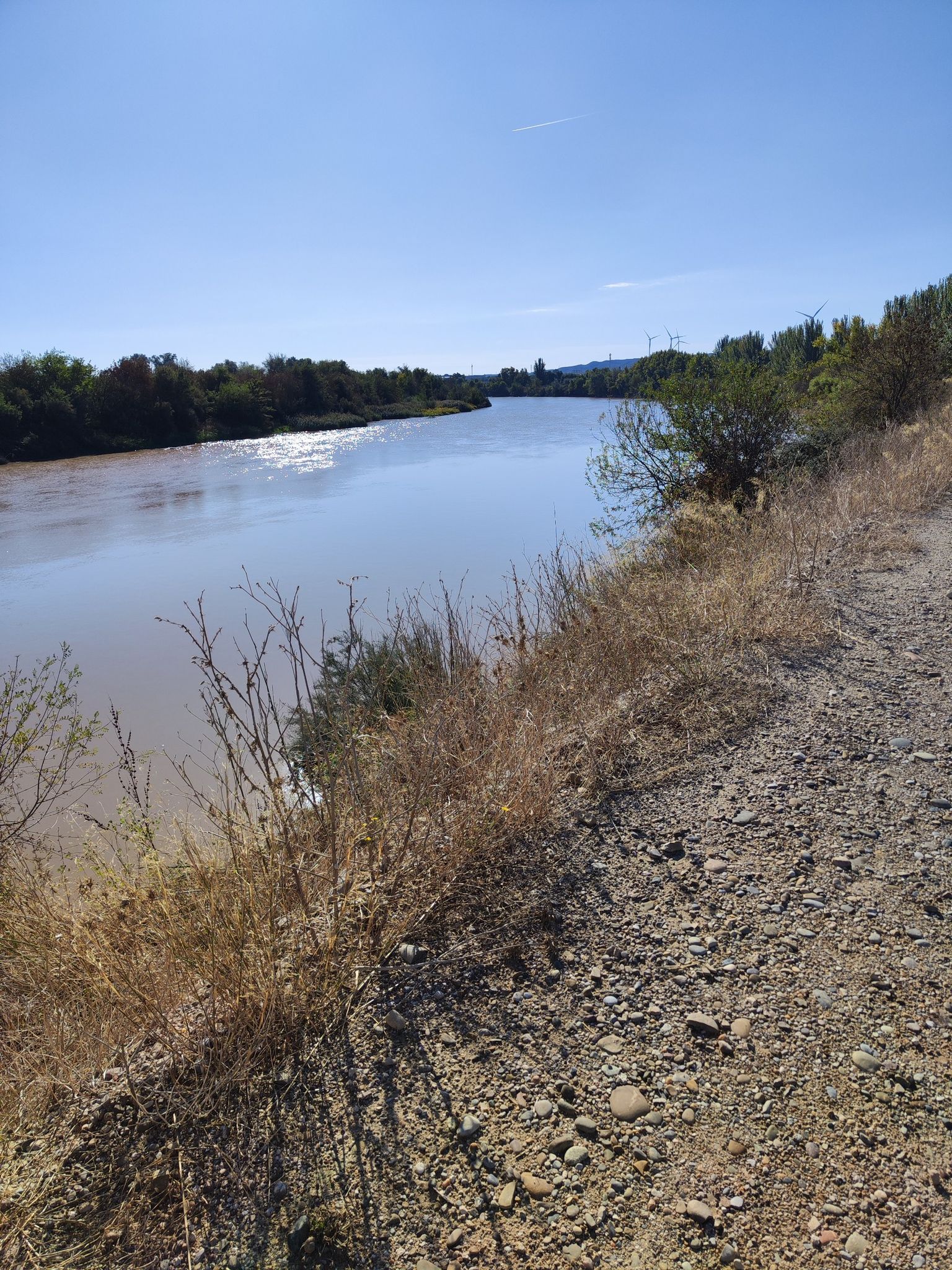 Recodo del Ebro bañado por el sol en El Burgo