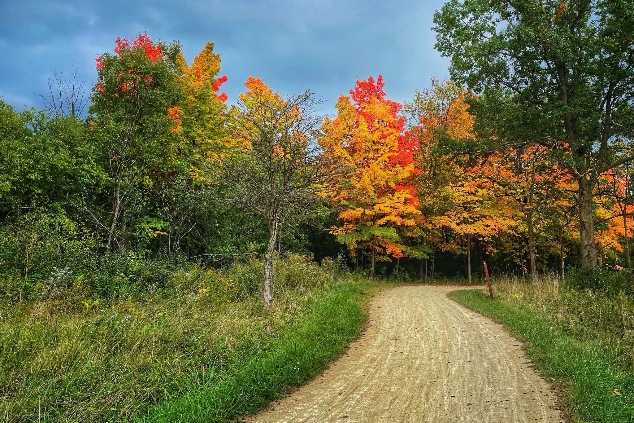 A winding dirt path through a forest with colorful autumn trees. - North Shore Bike Path – Des Plaines River Trail loop from Green Oaks