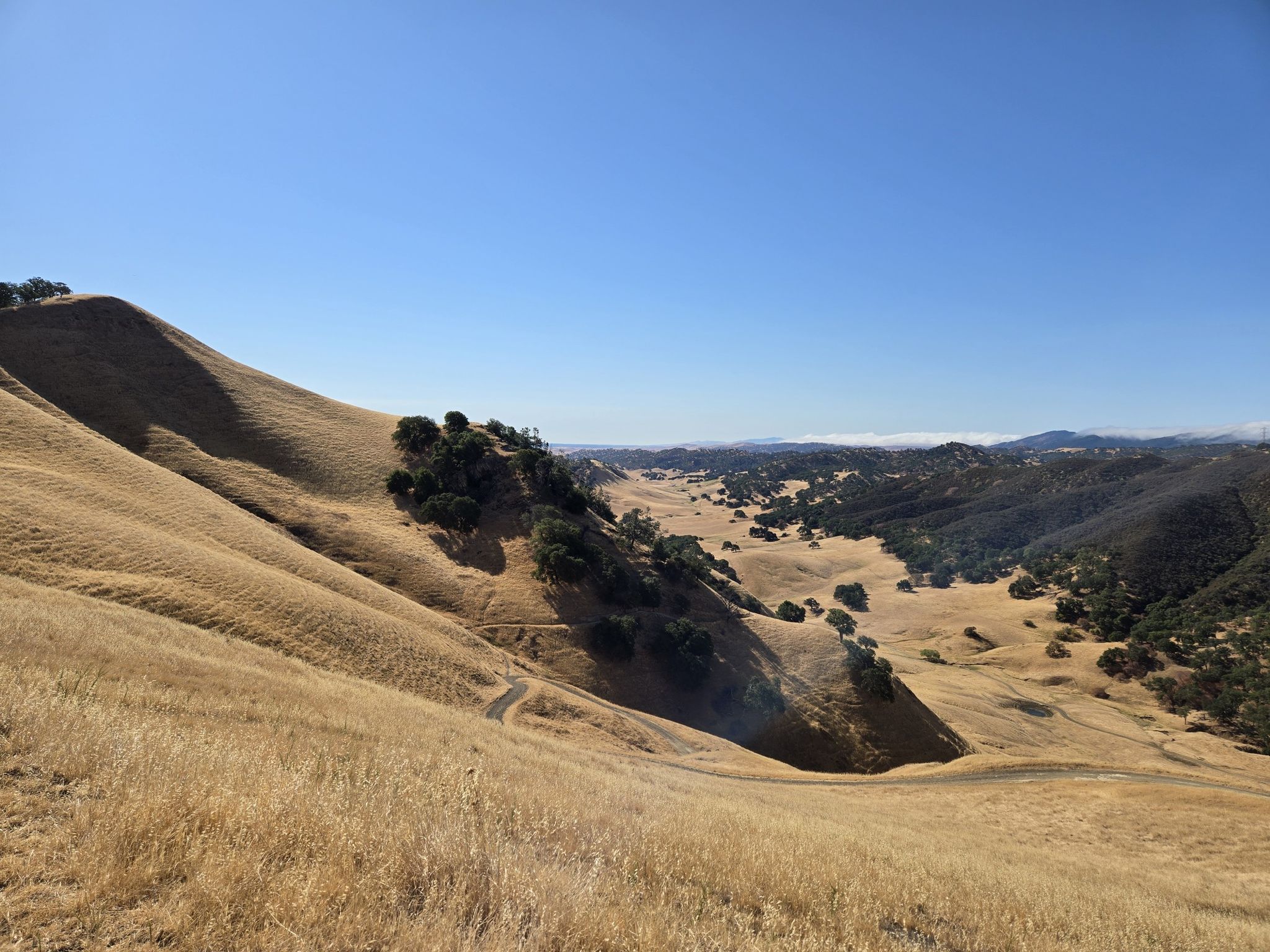 Golden grassy hills and a valley under a bright blue sky with scattered trees. - Stewartville and Ridge Trail Loop