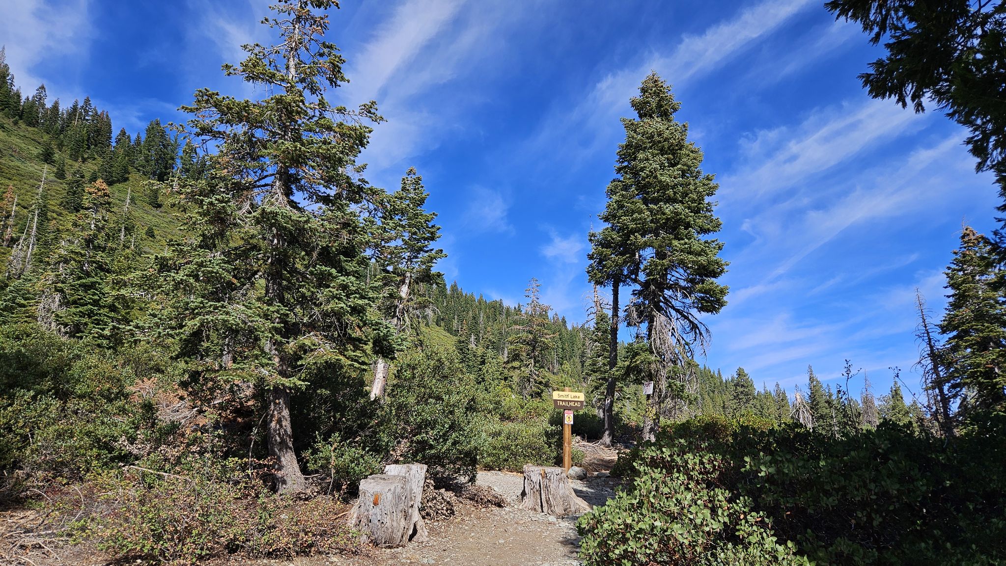 Forest path with a wooden sign, surrounded by tall pine trees. - Grass Lake – Big Bear Lake loop from Gold Lake Dam