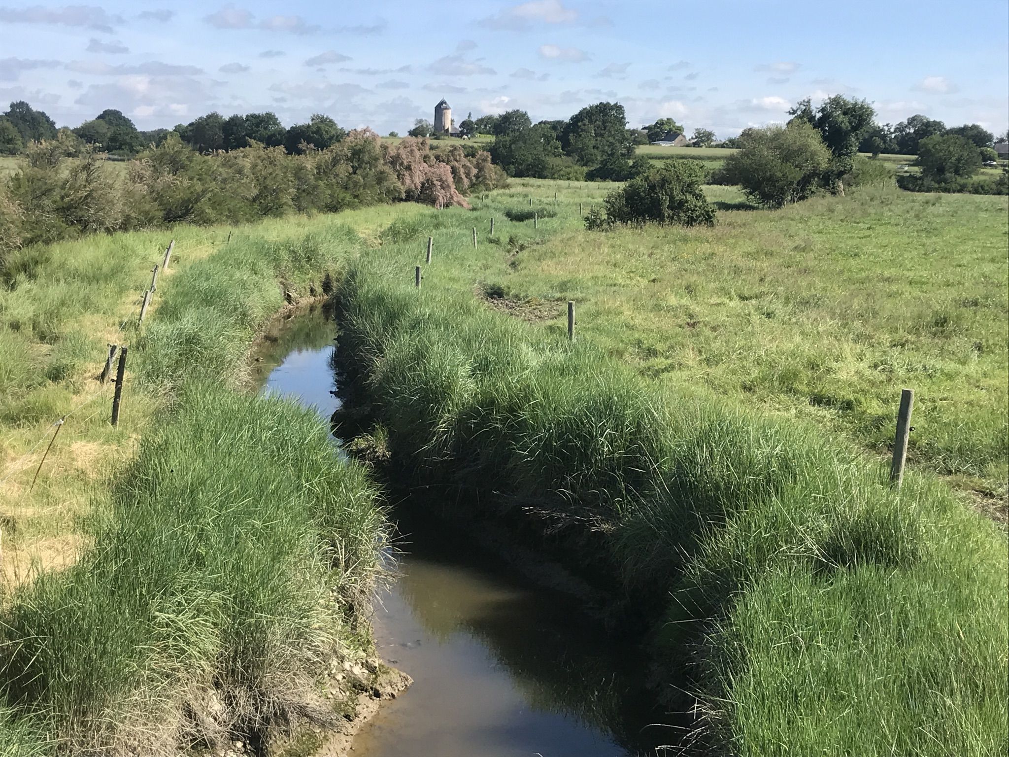 Près salés de Trevy