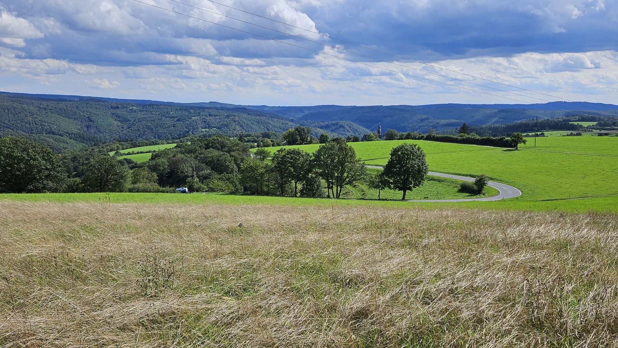 Espenschied-Panorama
