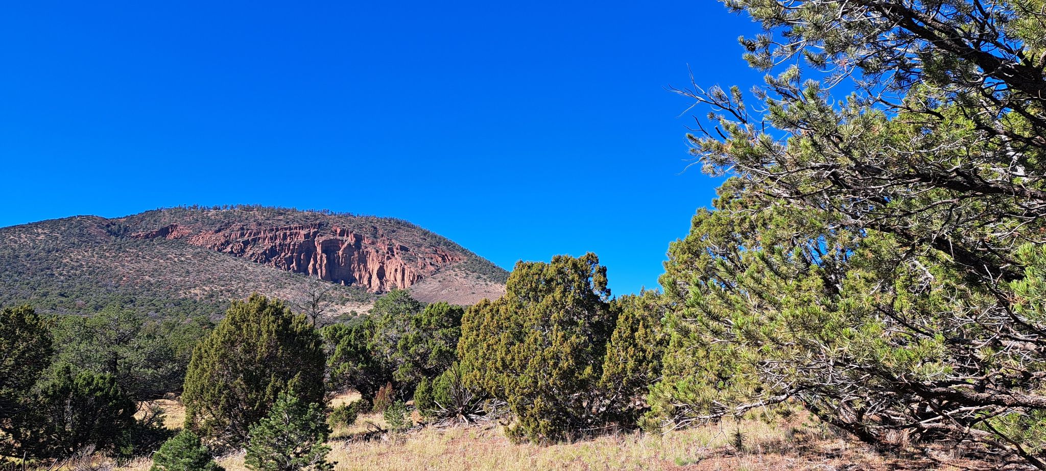 Sunny view of a distant red mountain peak and green trees. - Red Mountain Trail #159