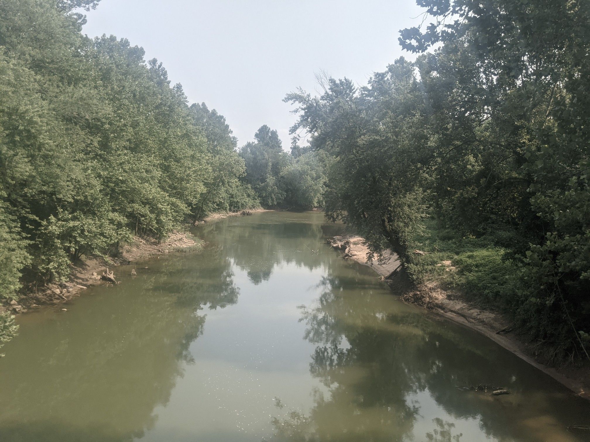 A calm river flows through dense green forest under an overcast sky. - Oakville — Eureka loop