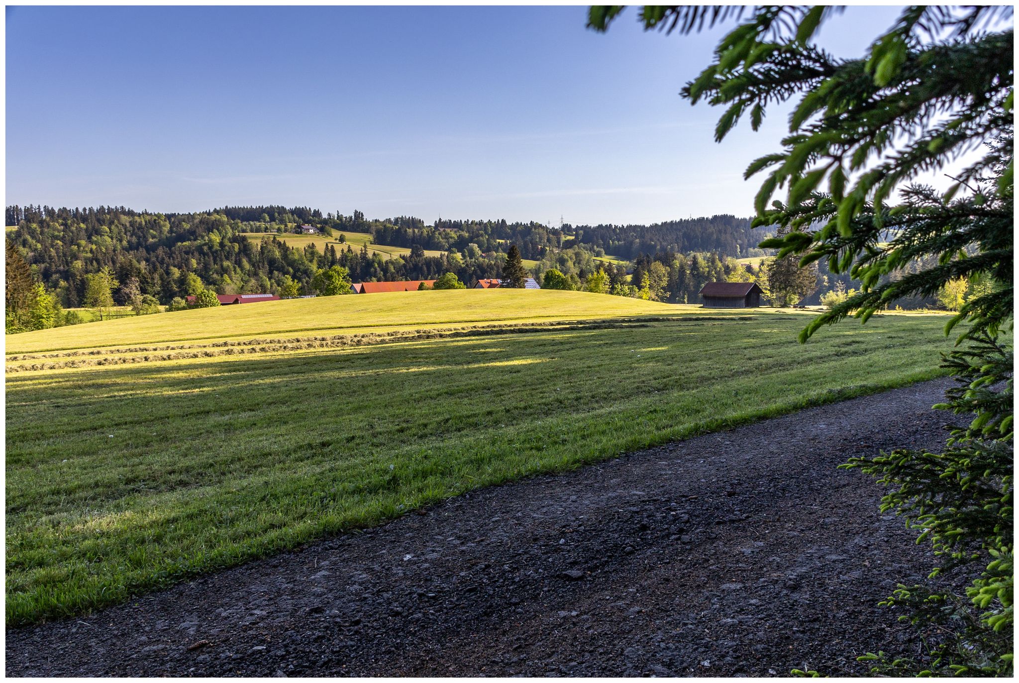In der Mitte zwischen Rickenbach und Aizenreute