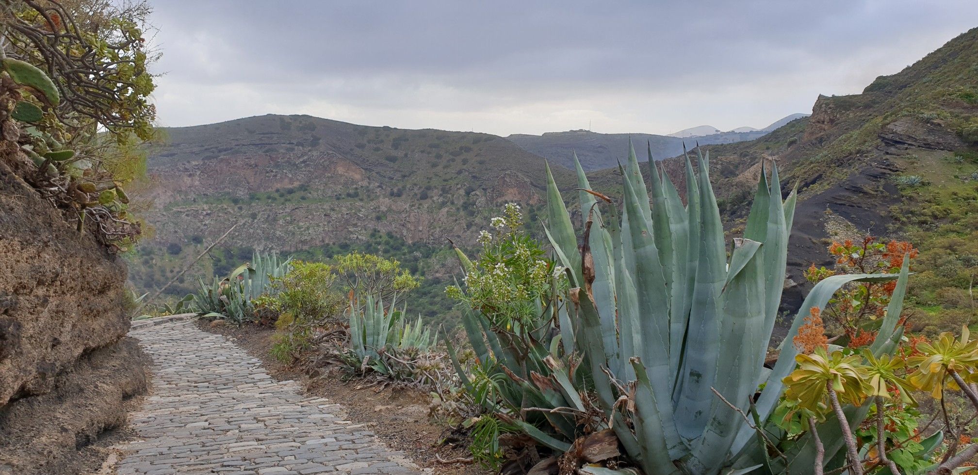 Gran Canaria Bandama-Krater  | hike | Komoot