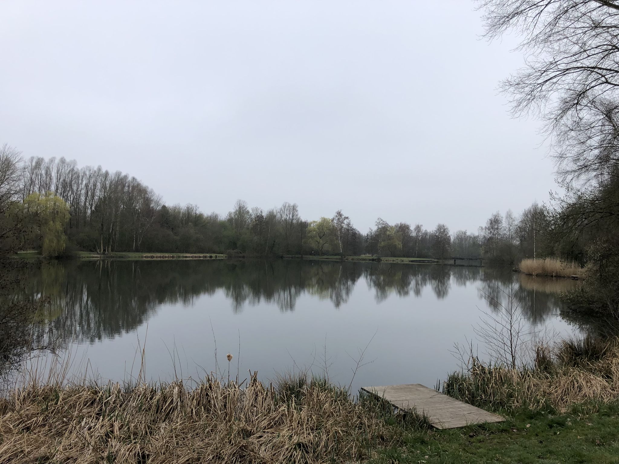 Erste Aufnahme des Tages - der "Sulinger Stadtsee"