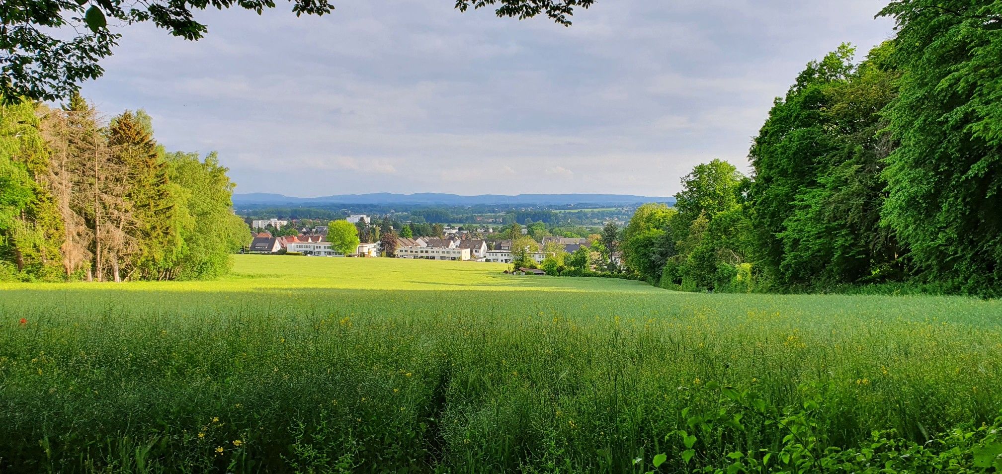 Wunderschöne Aussicht mit Sitzbank