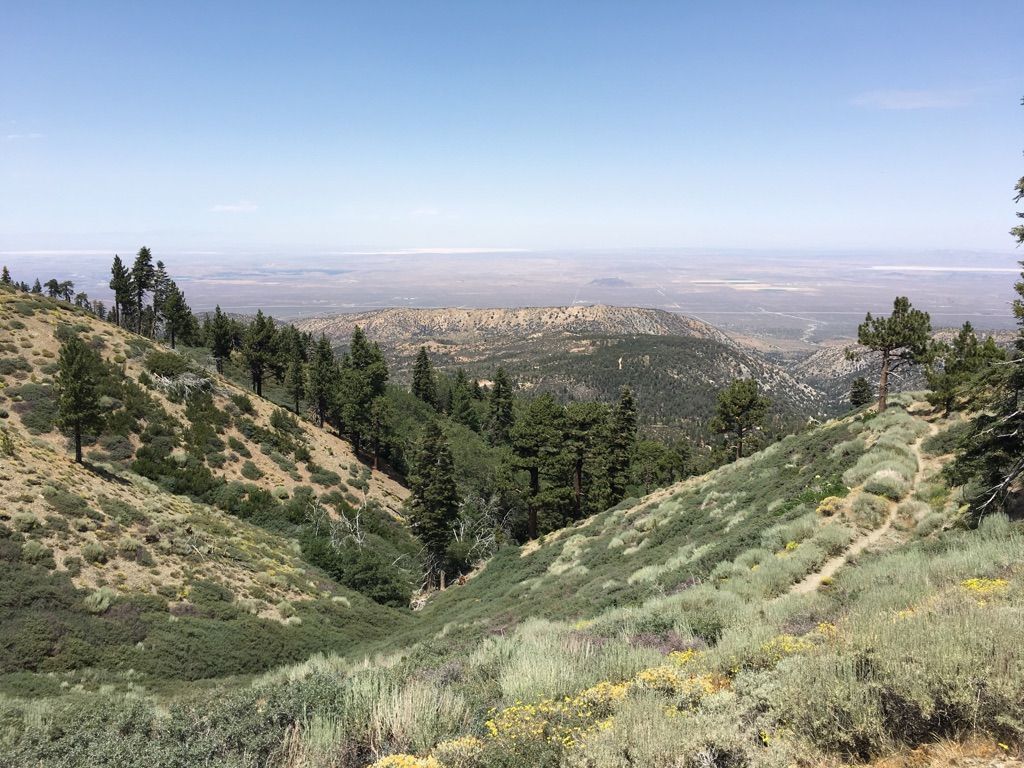 Wide mountain valley with scattered pine trees and distant hazy plains under clear sky. - Grassy Hollow to Jackson Flat via PCT