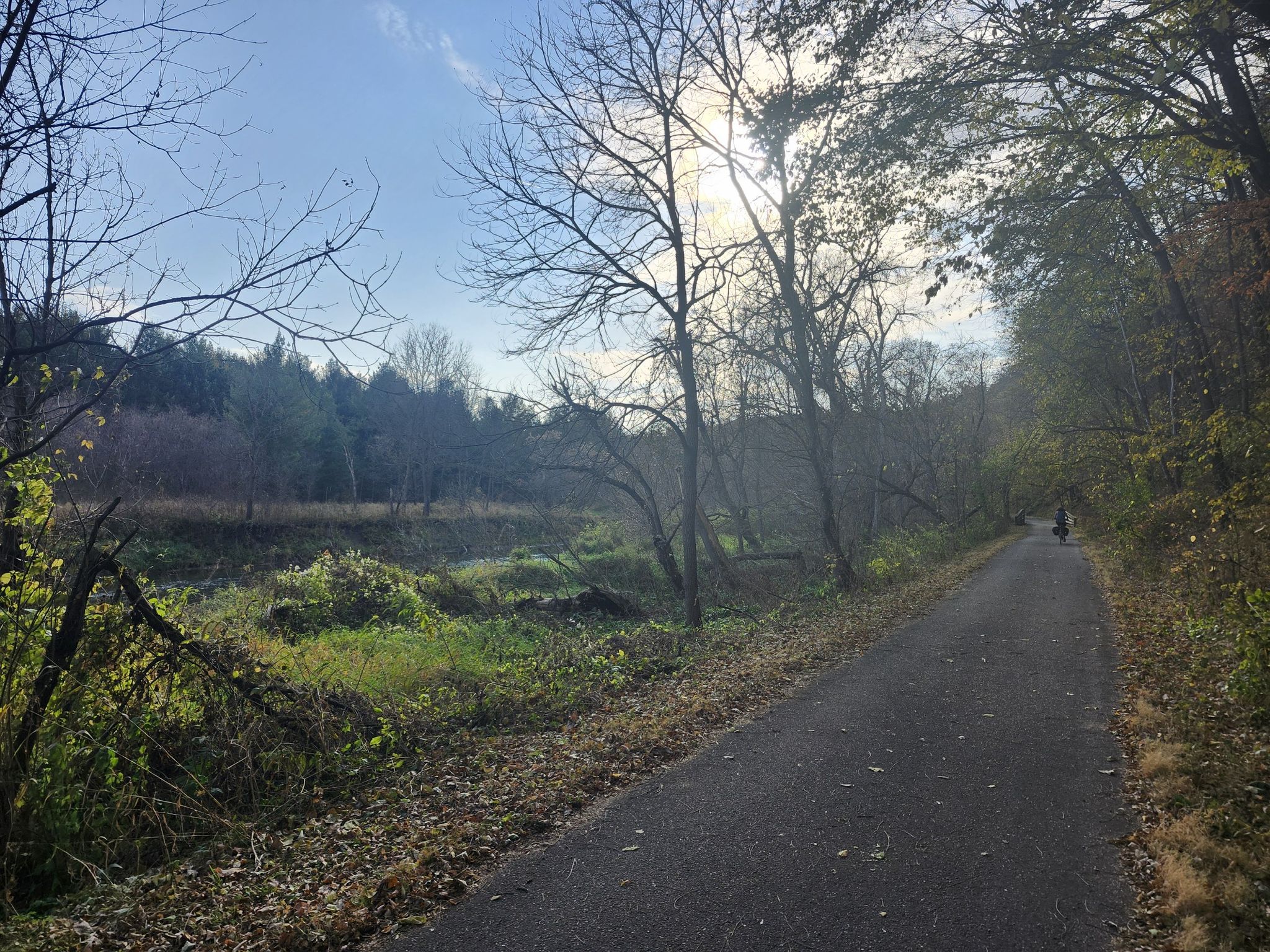 Paved path through woods and open field with bright sun, person cycling. - Root River State Trail loop from Lanesboro