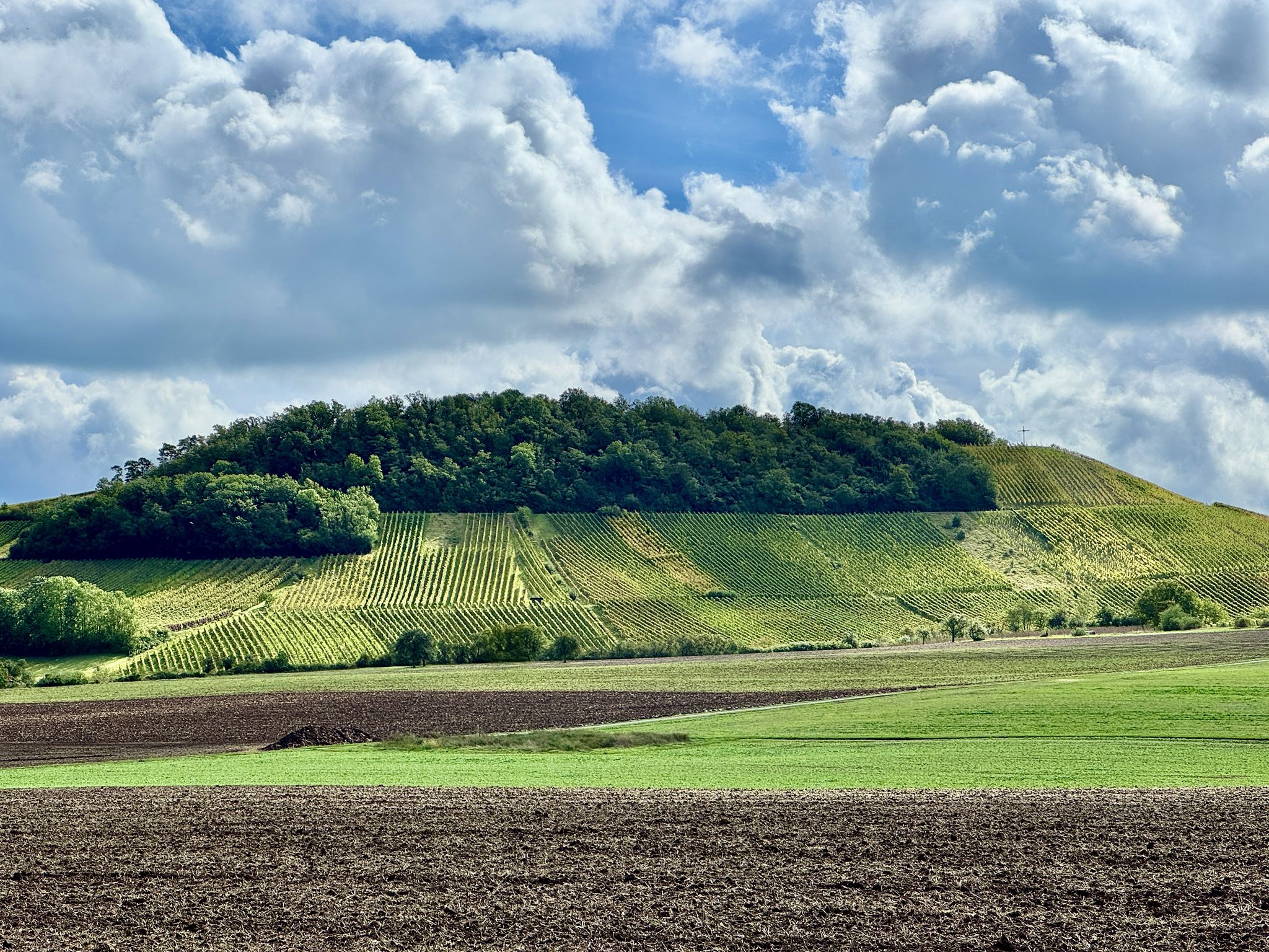 Weinparadies Bullenheim