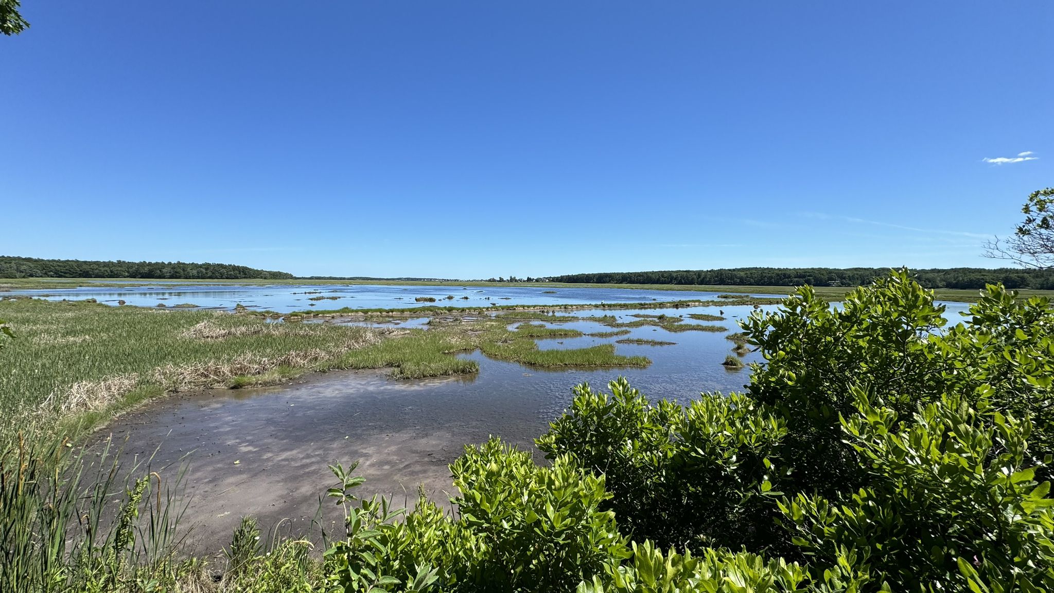 A vast marshland with water channels and green foliage under a blue sky. - Eastern Trail