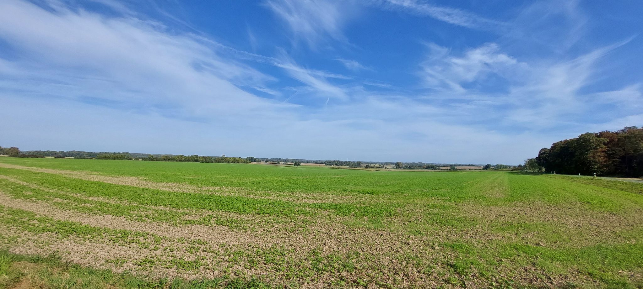 toller Blick über das Münsterland