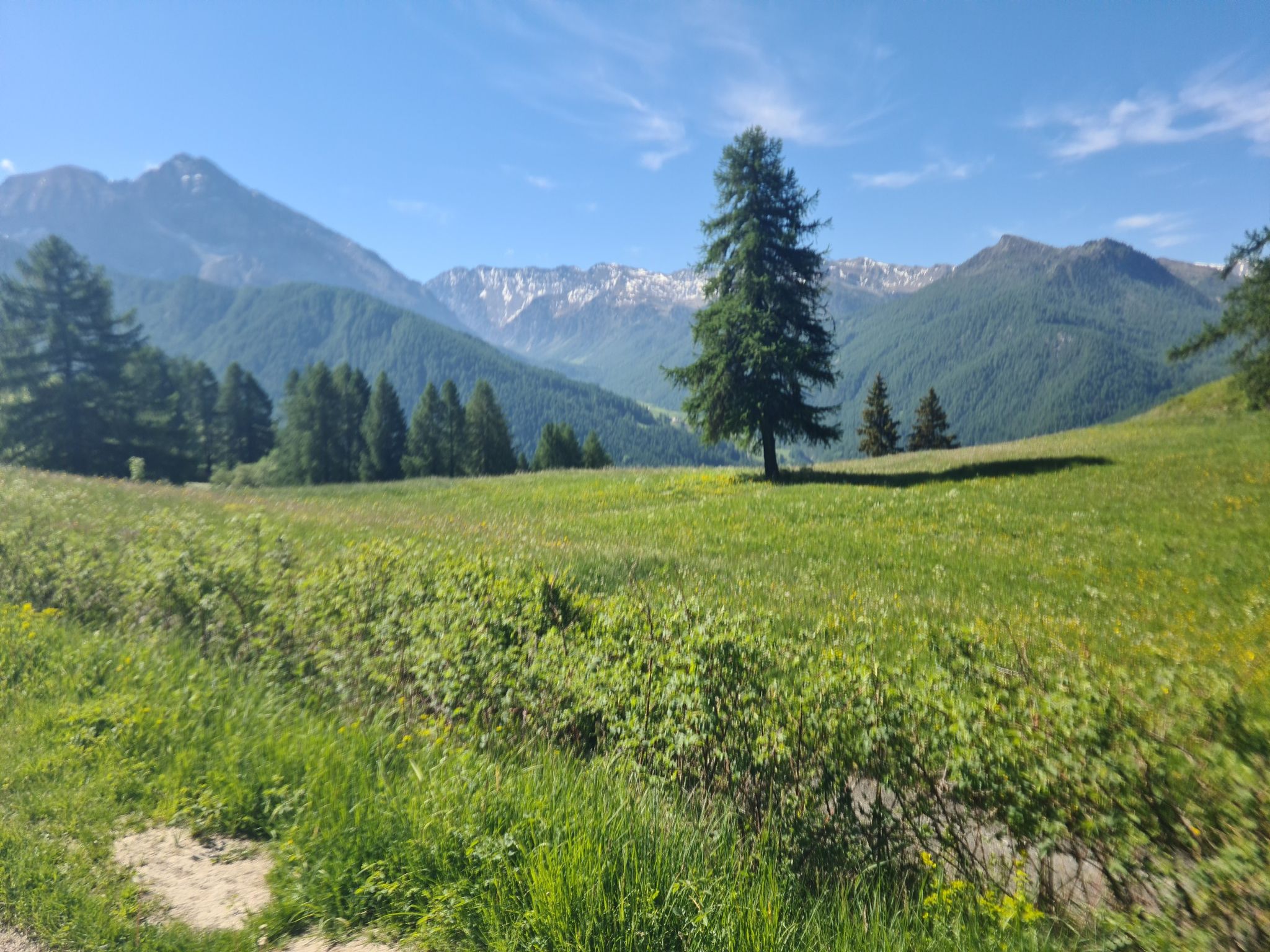 Vue sur la vallée des Thures et les sommets encore enneigés