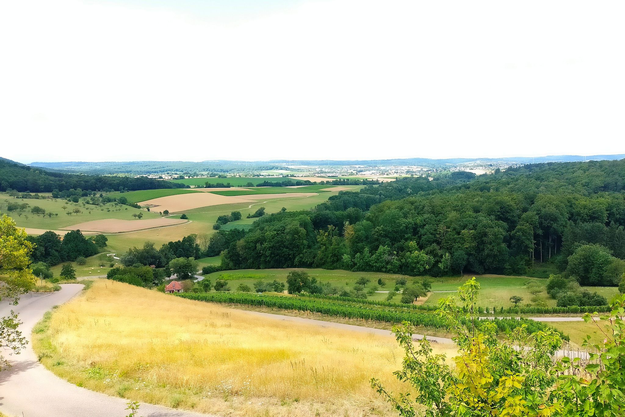 Blick ins Weissacher Tal / Knittlingen