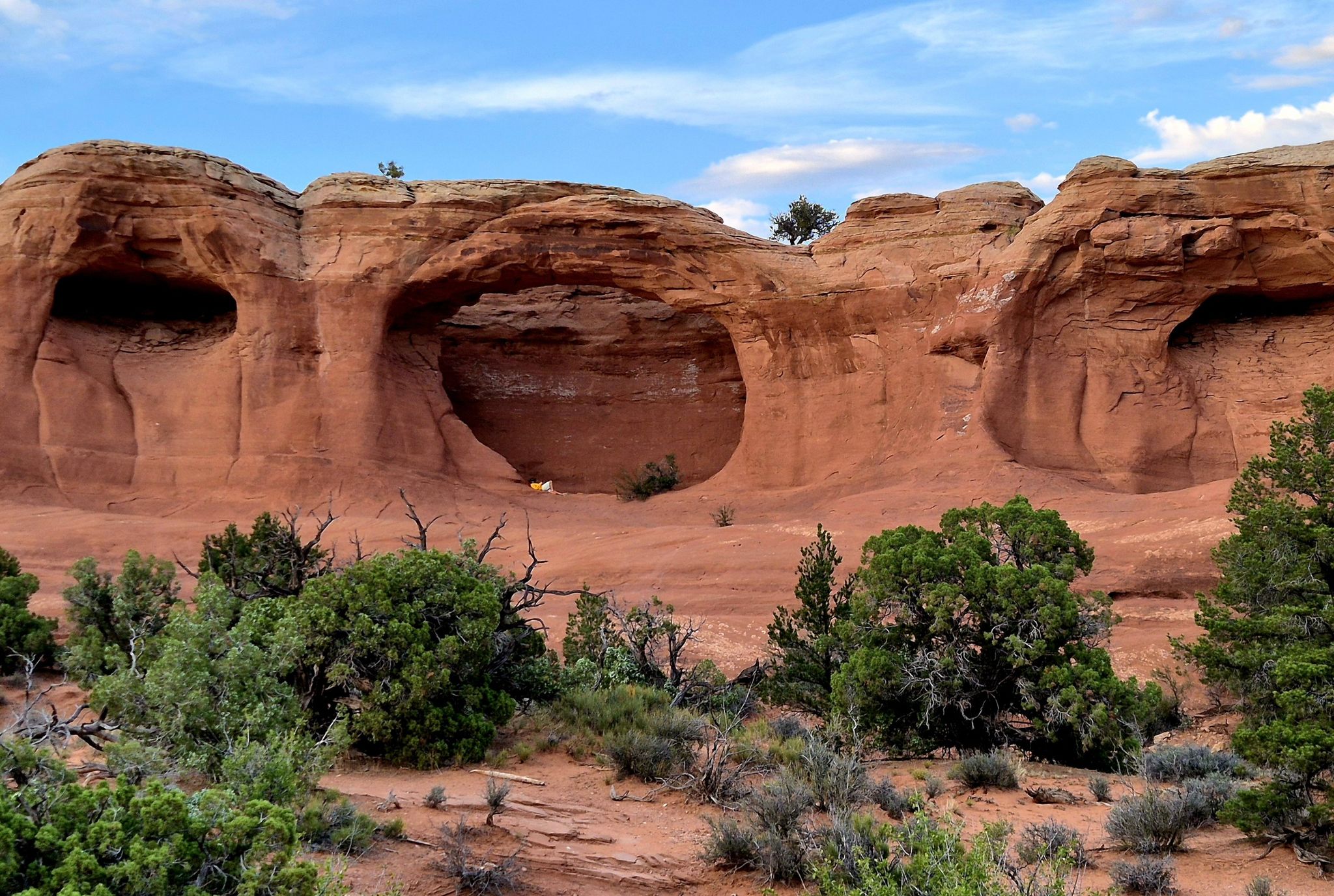 Red rock arches and desert plants under a partly cloudy blue sky. - Tapestry Arch Trail