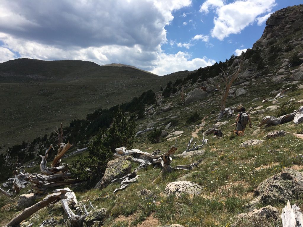 Person hikes uphill on a rocky, grassy mountain slope under a cloudy sky. - M. Walter Pesman Trail
