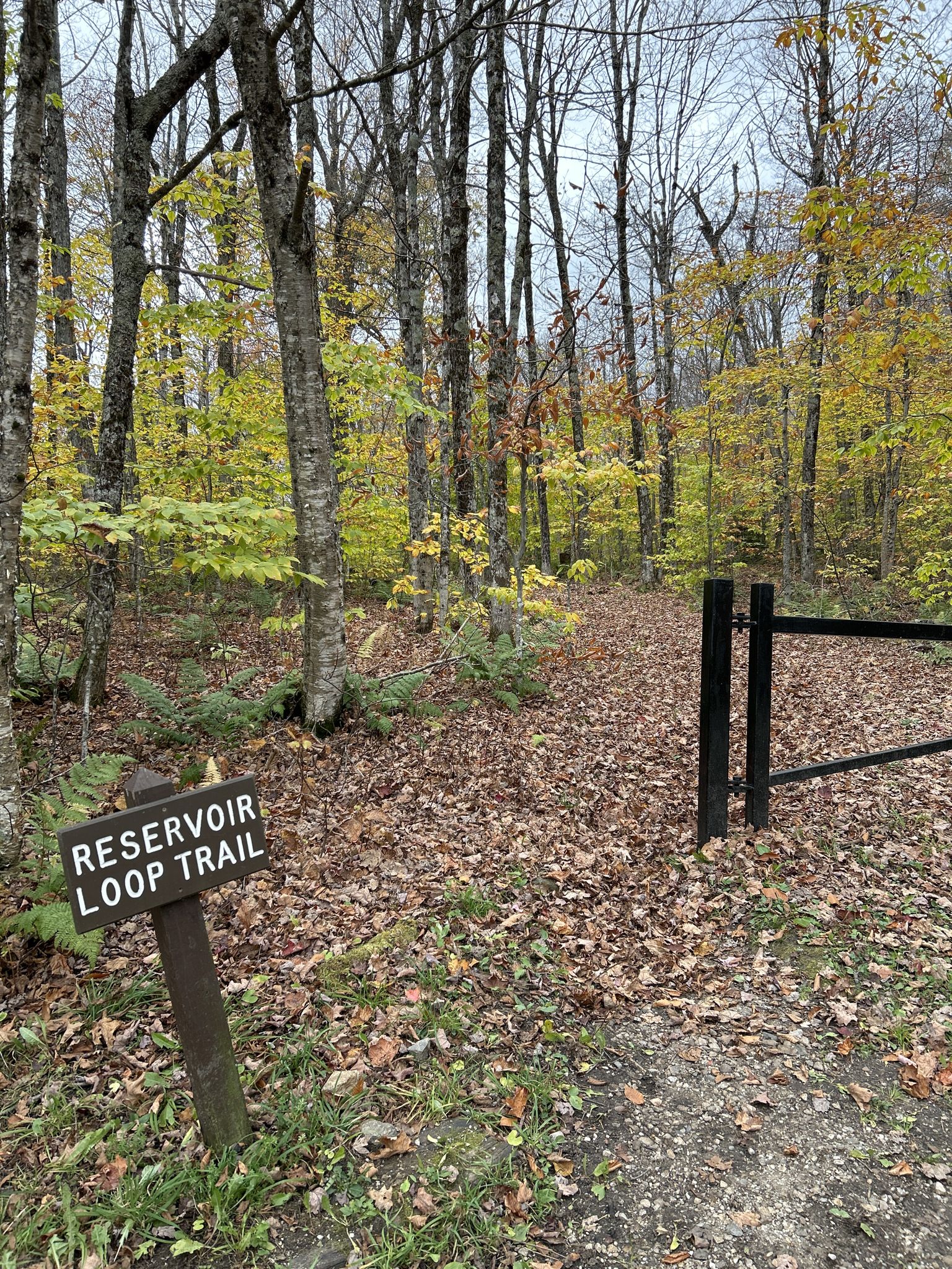A wooden trail sign and black gate in an autumn forest. - Woodford Trail