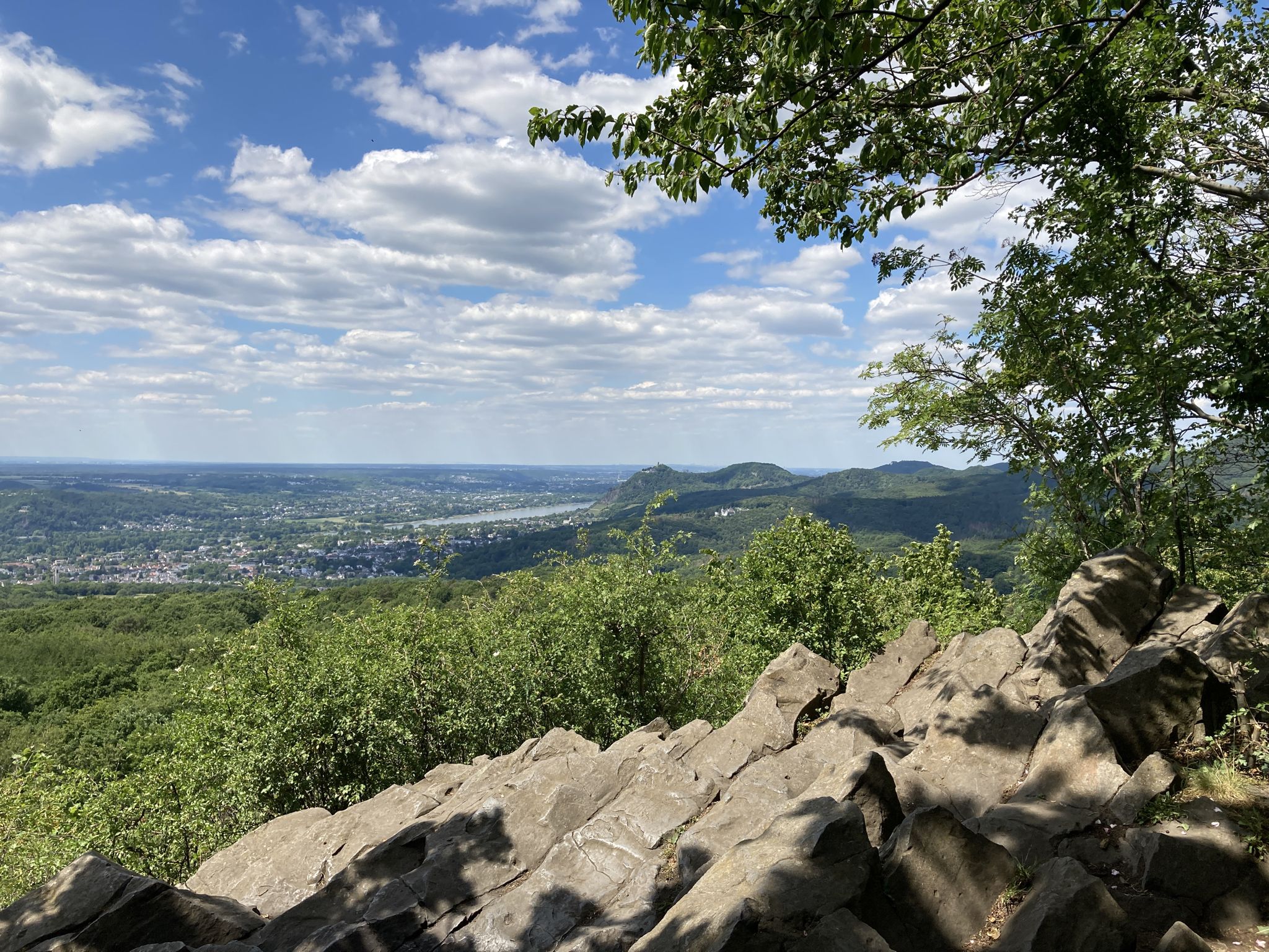 Auf dem Leyberg, Blick zum Drachenfels