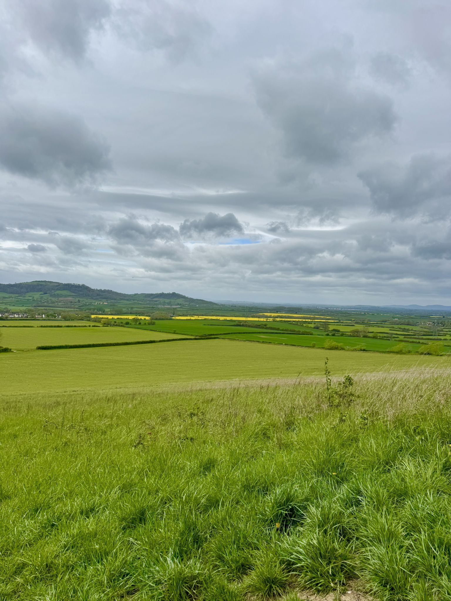The view half way up the hill