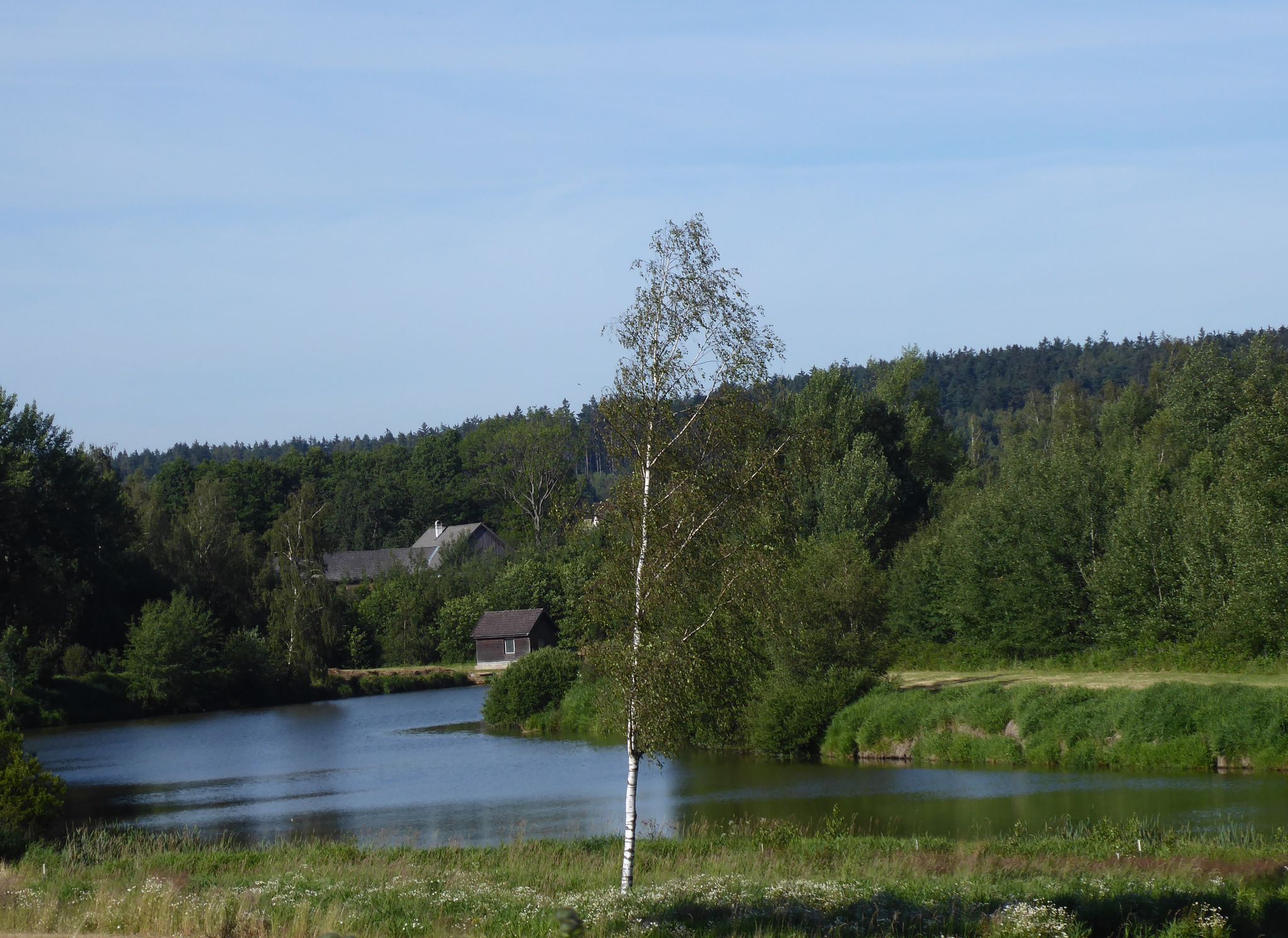 Waldviertler Teich