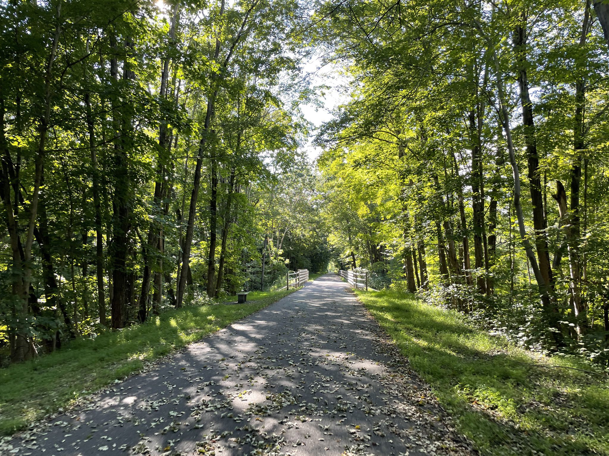 A sun-dappled paved path winds through a tunnel of lush green trees. - Hudson Valley Rail Trail – 1889 Rail Bed Trail loop from Highland Park & Ride