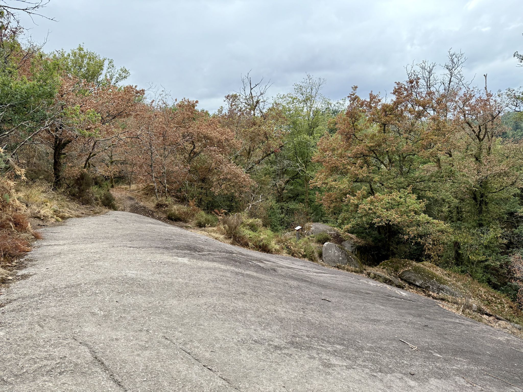 Felsen « Pas de la Mule »