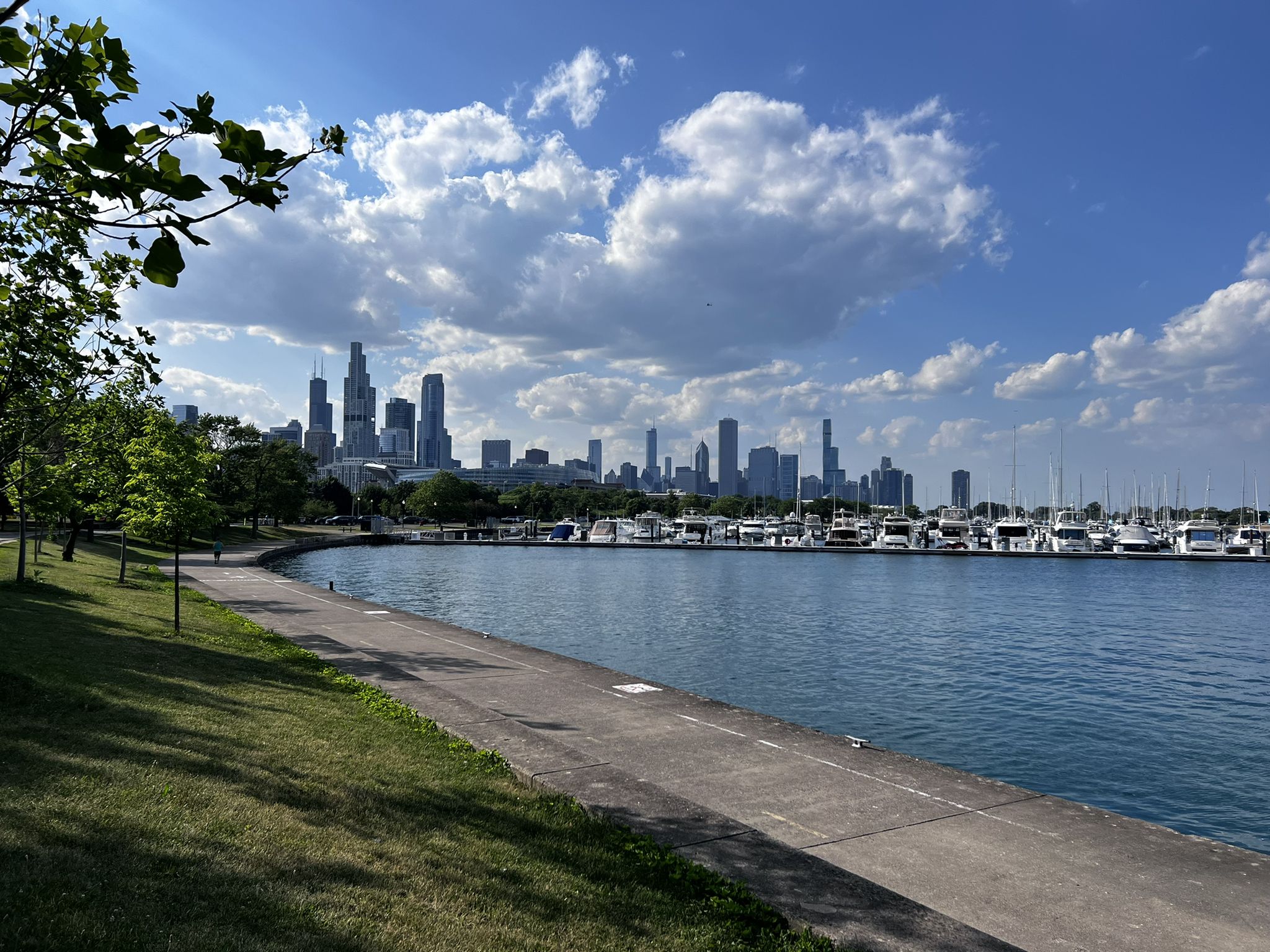 Boats docked in a marina with a distant city skyline under a blue sky. - McCormick Bird Sanctuary – Burnham Wildlife Corridor loop from Cermak-Chinatown