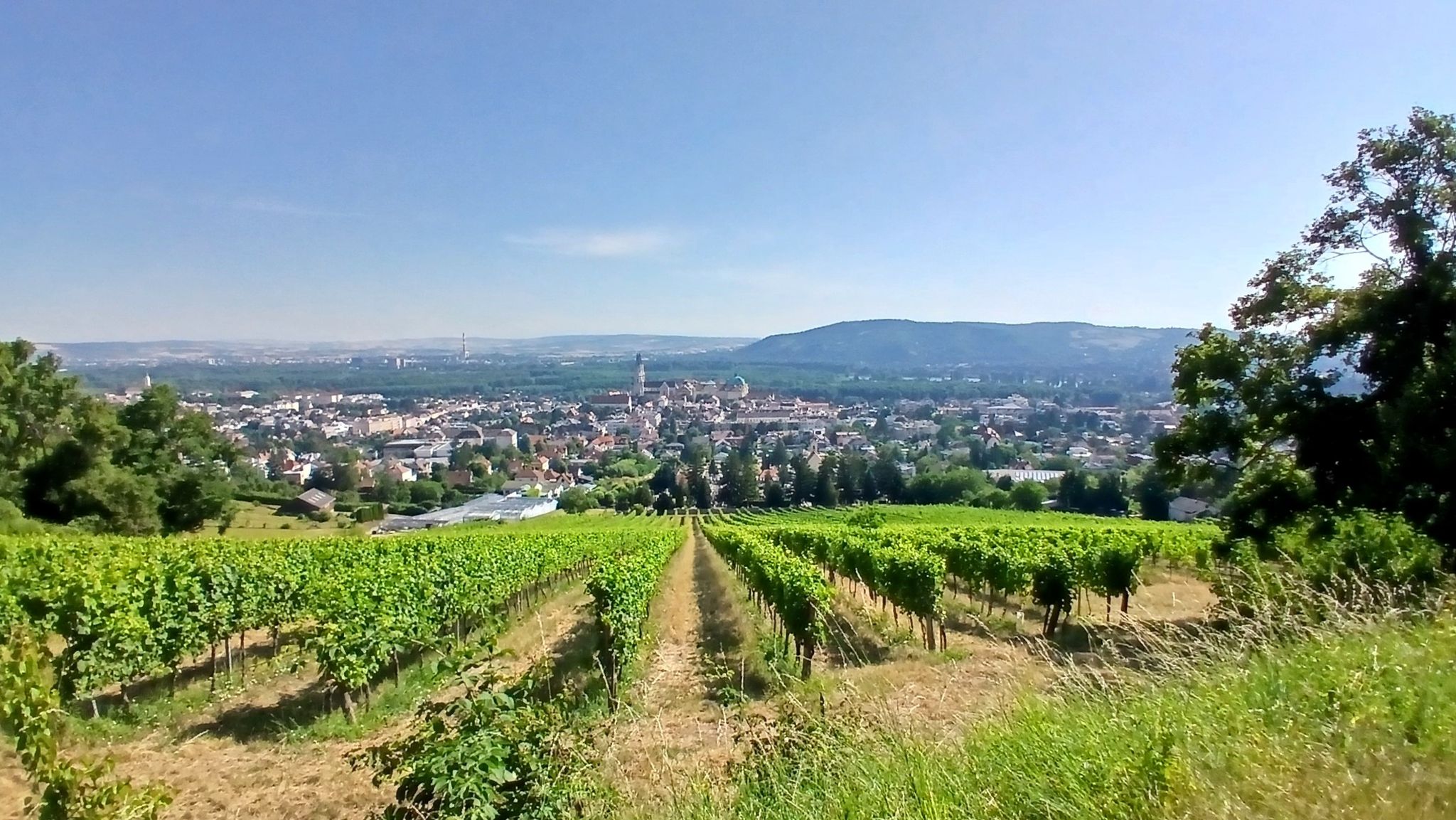 Klosterneuburg, Donau, Bisamberg