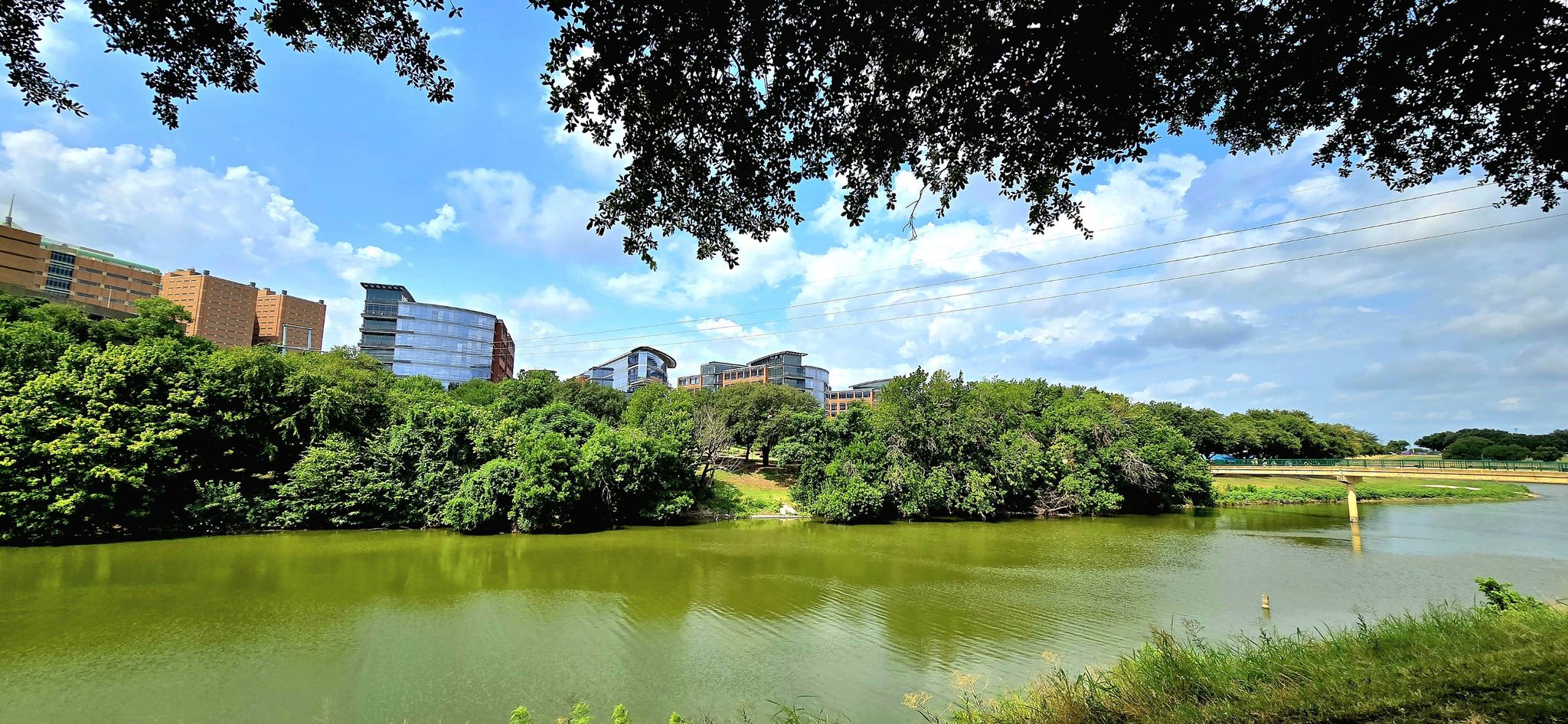 Sunny view of a green river, lush trees, and modern buildings under blue sky. - Harmon Field Park – Trinity Park loop from Fort Worth T&P