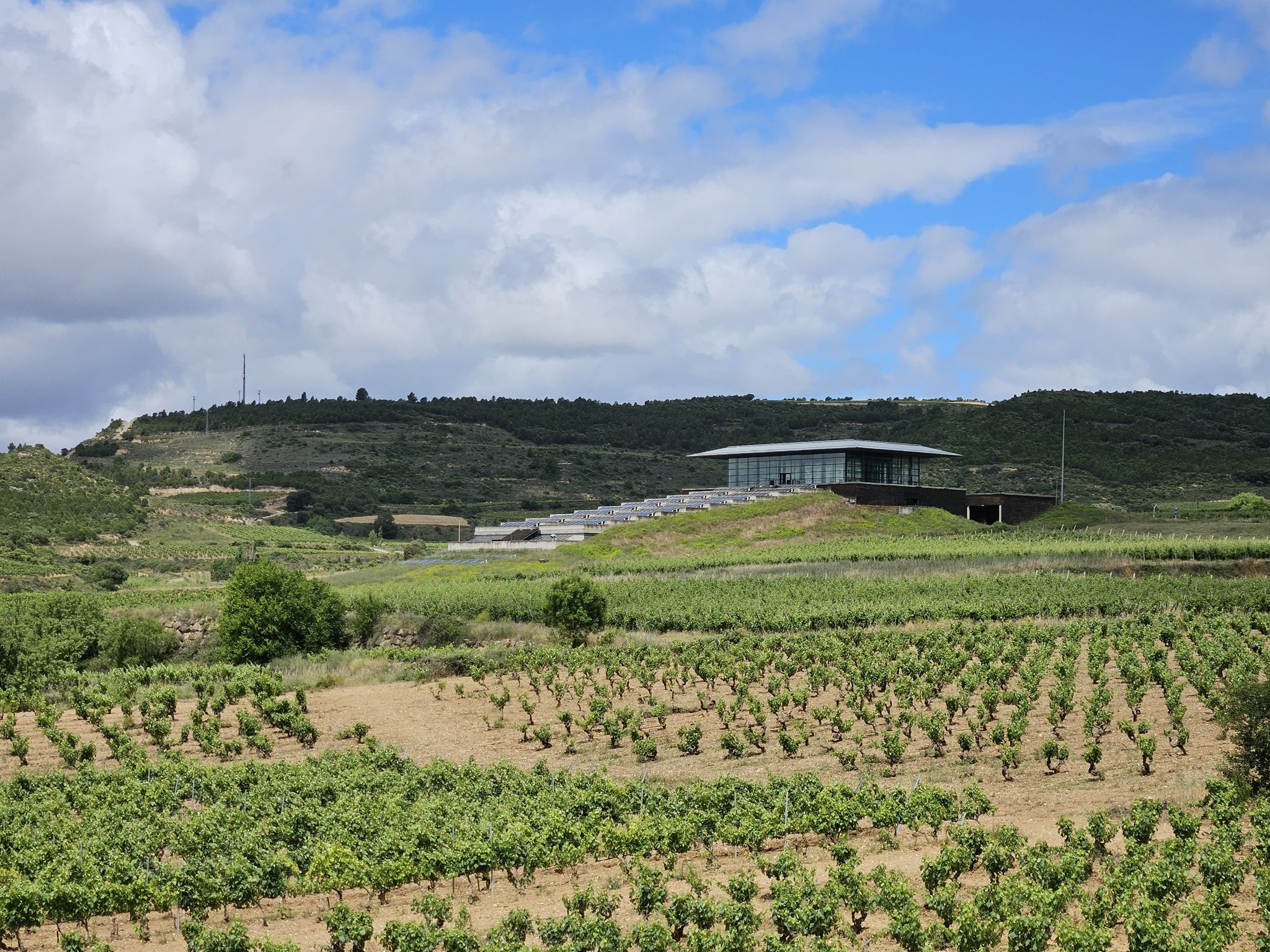 Unser Ziel: Bodegas Bai Gorri