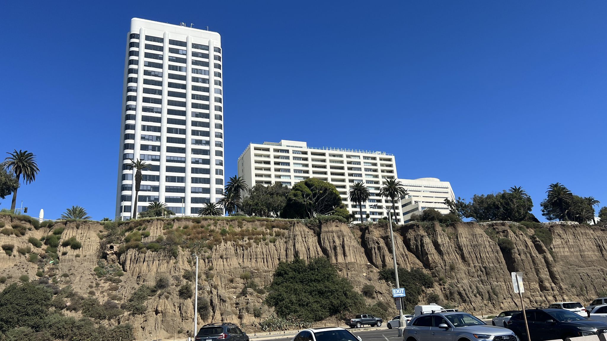 Tall white buildings atop a cliff, with palm trees and parked cars below. - Hiking loop from Santa Monica