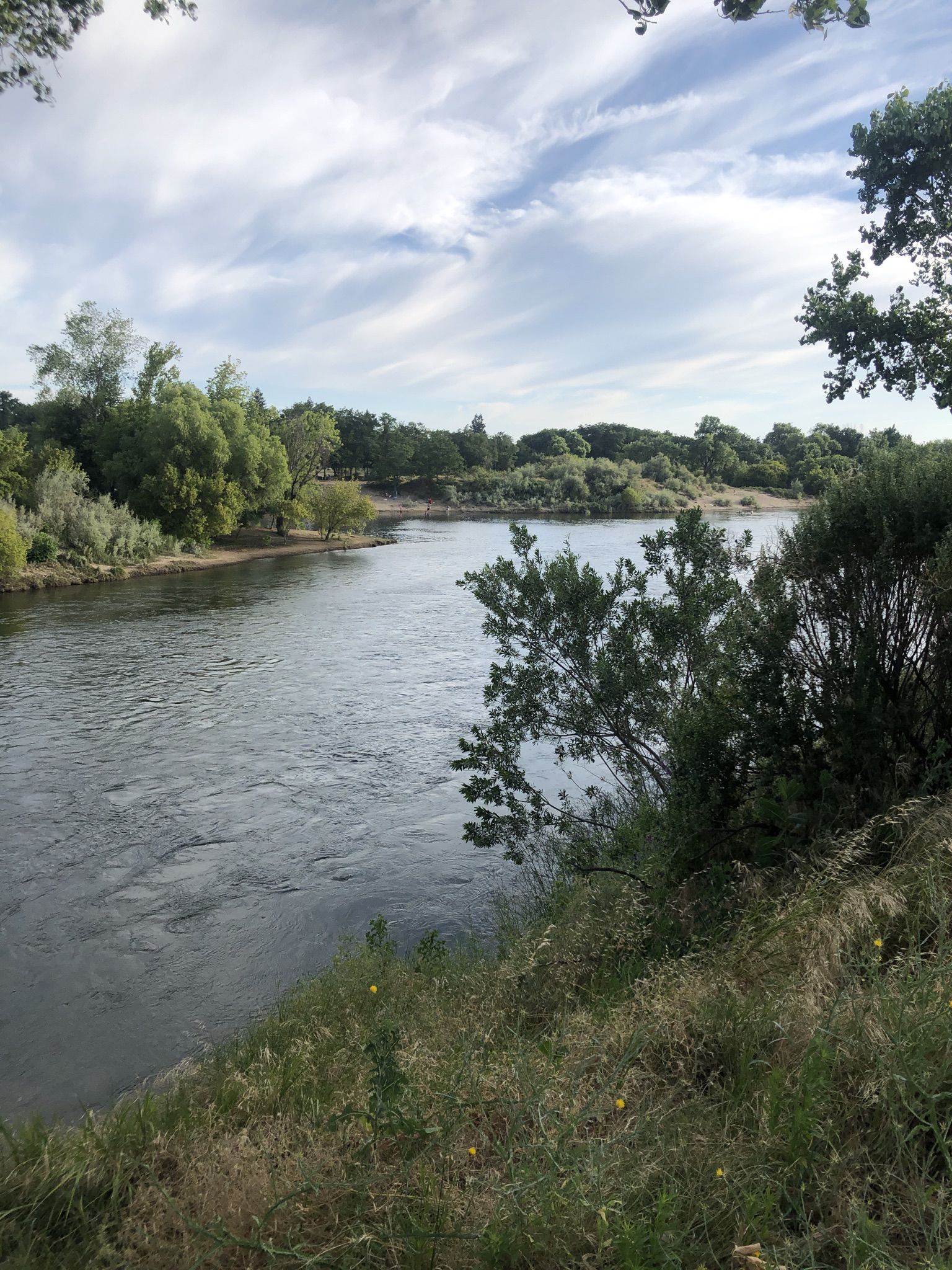 A river flows past a grassy bank with trees under a partly cloudy sky. - Levee Path and American River Bike Trail