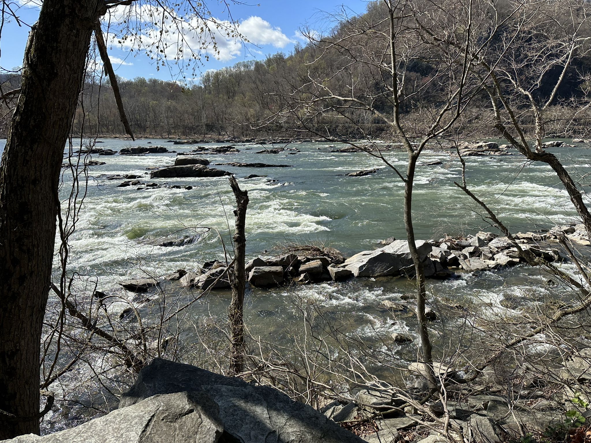 Rushing river with rocks, bare trees, and distant hills under cloudy sky. - Chesapeake and Ohio Canal Towpath