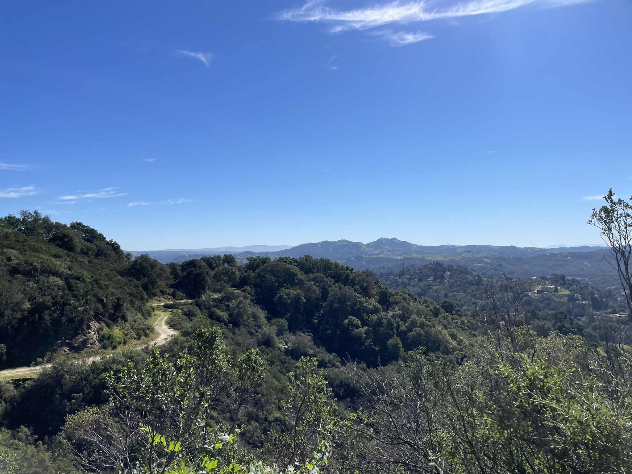 Lush green hills and a winding road under a bright blue sky. - Russell Peak loop from Russell Research Station