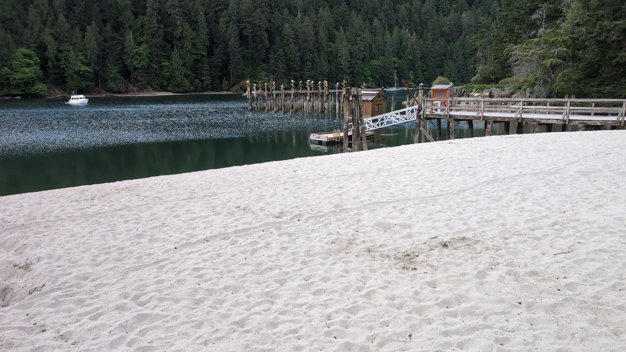 beach at the old Tod inlet cement pier